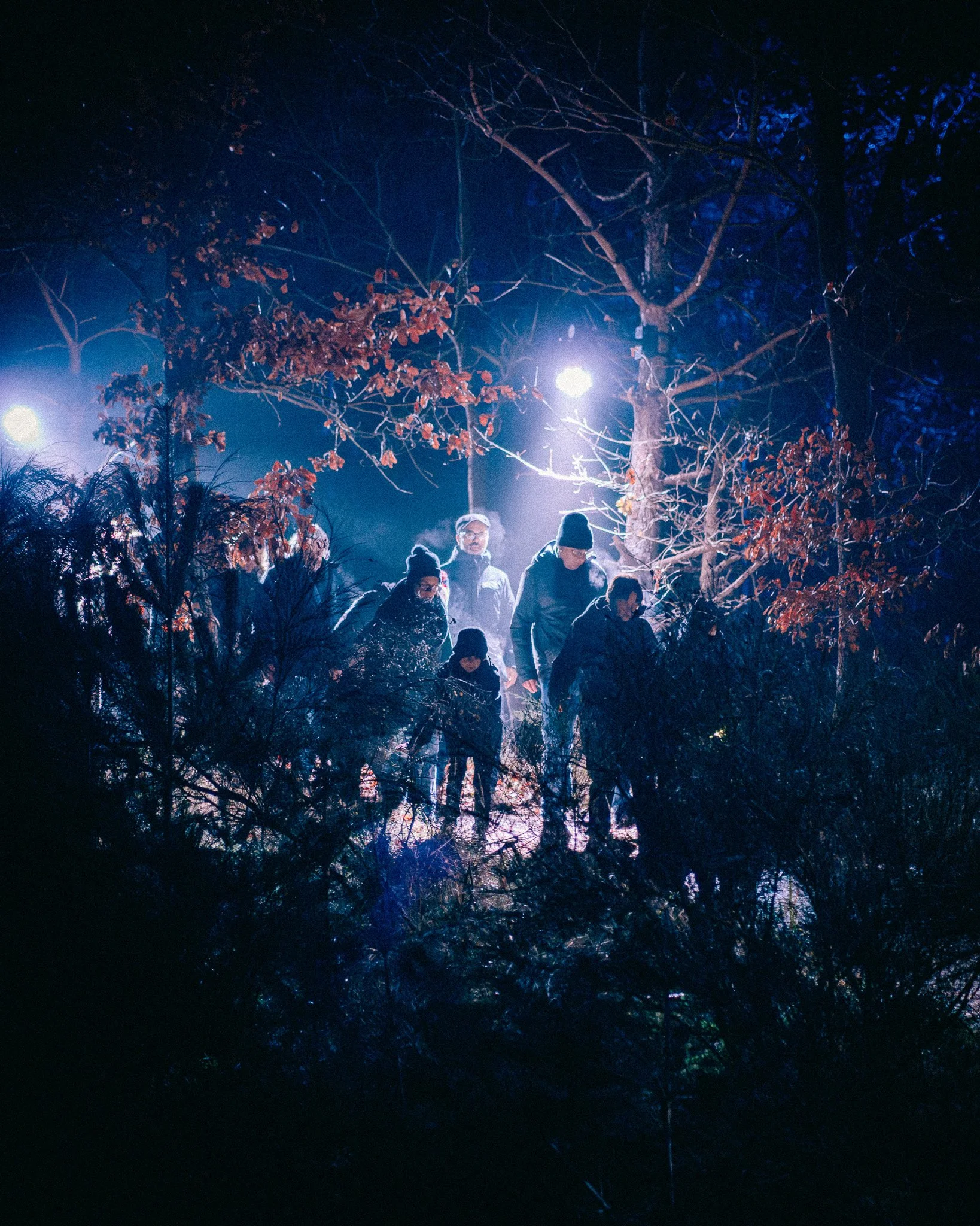 Mensen lopen in een donker bos 's nachts, verlicht door straatverlichting en straatlantarens.