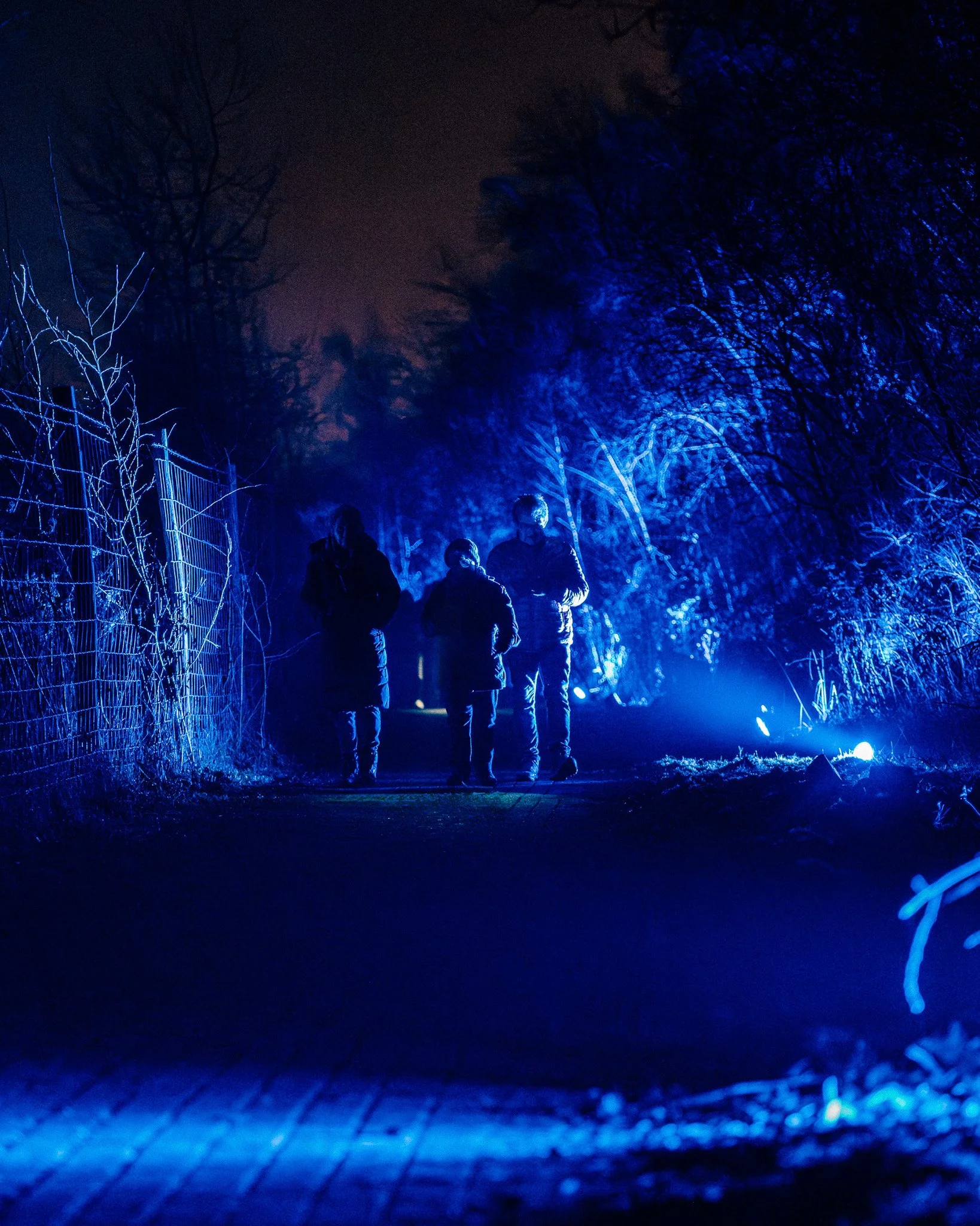 Een groep mensen loopt 's nachts langs een met blauwe lampen verlichte bosrand, omgeven door kale bomen en een gaasstructuur.