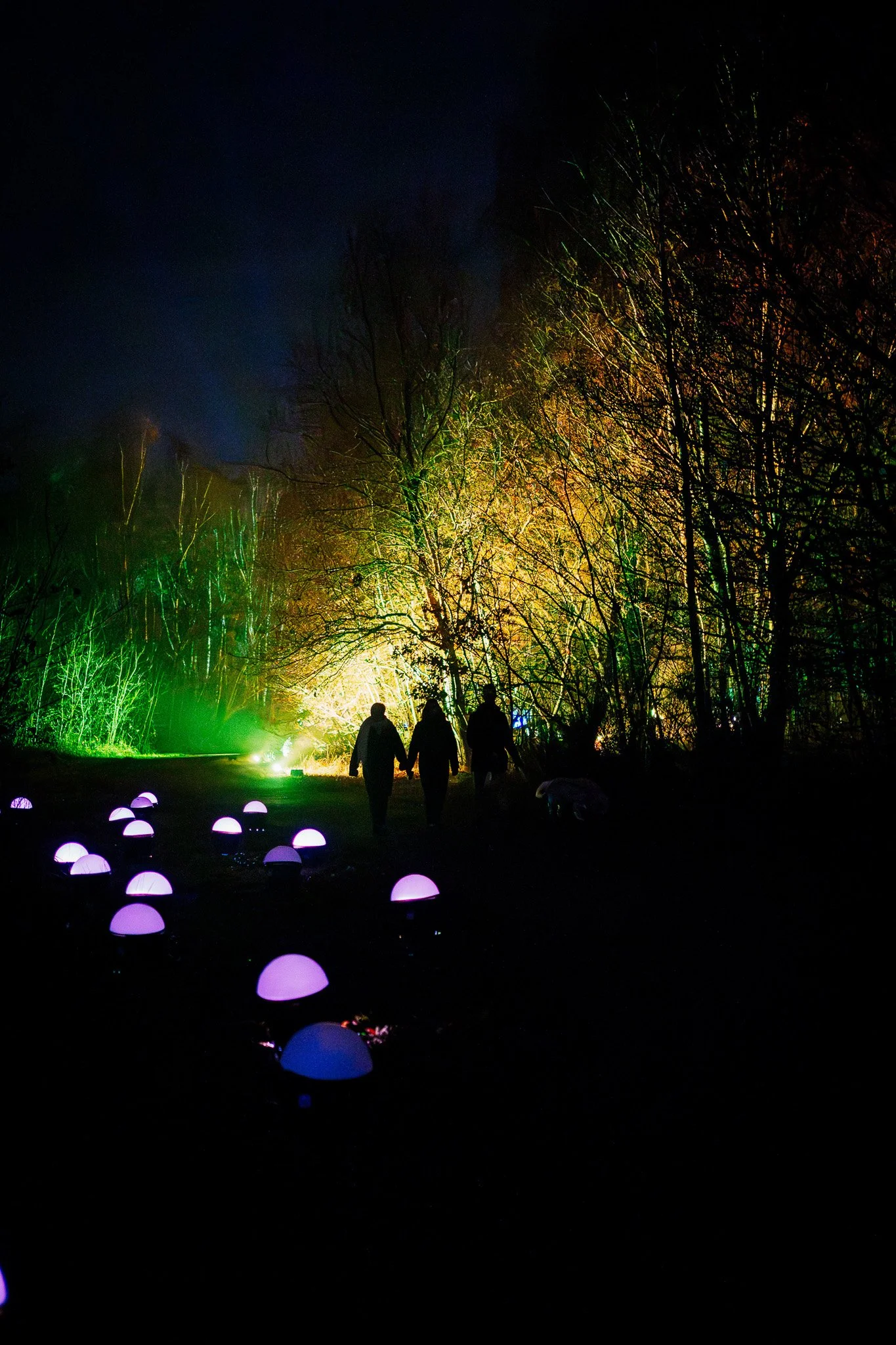 Mensen wandelen door een donker bos tijdens een lichtkunstinstallatie met kleurrijke lichten en lampionachtige objecten op de grond.