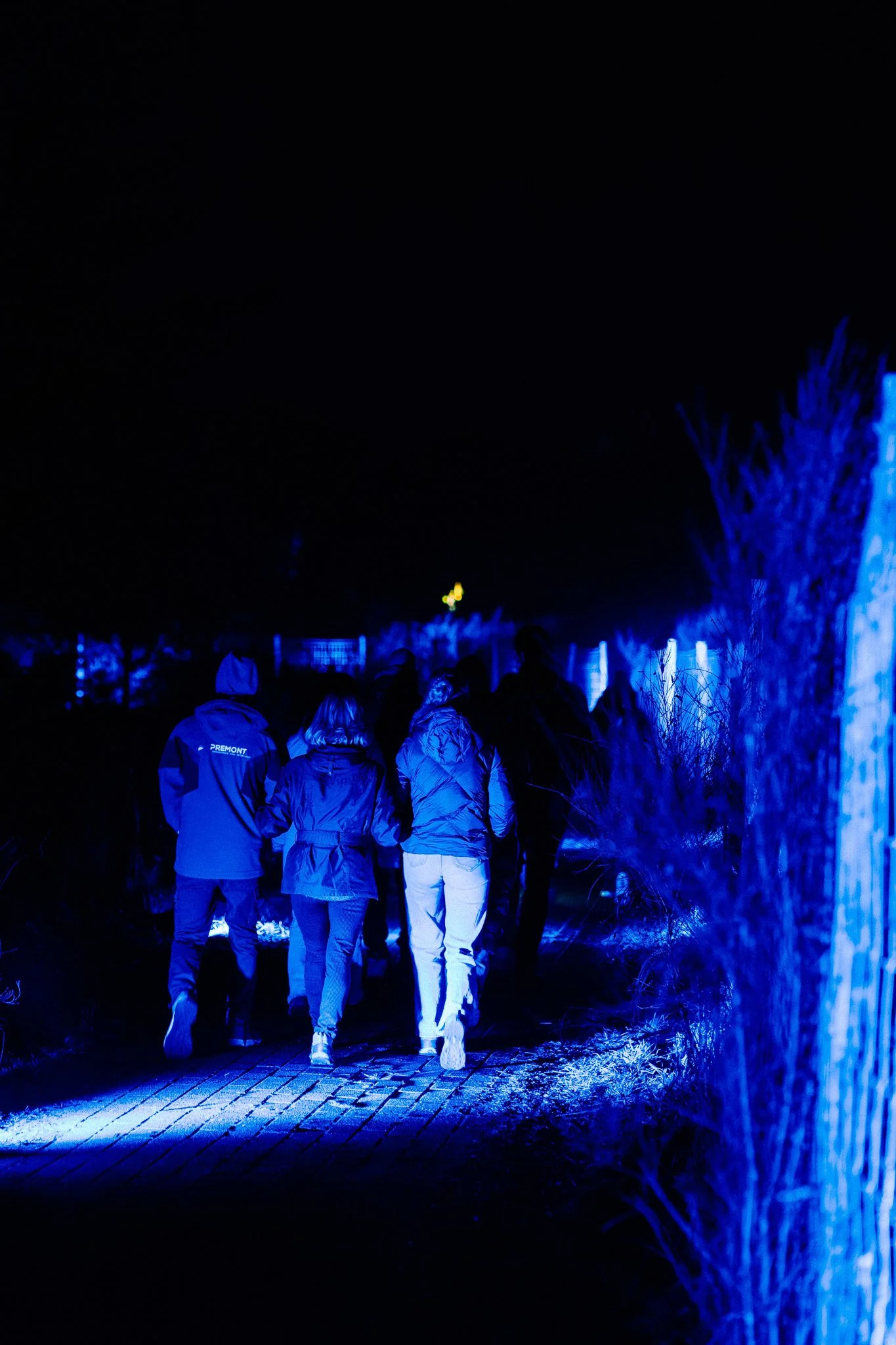Mensen wandelen in een nachtelijk lichtkunstproject, verlicht door blauwe en witte lichten naast een pad en struiken.