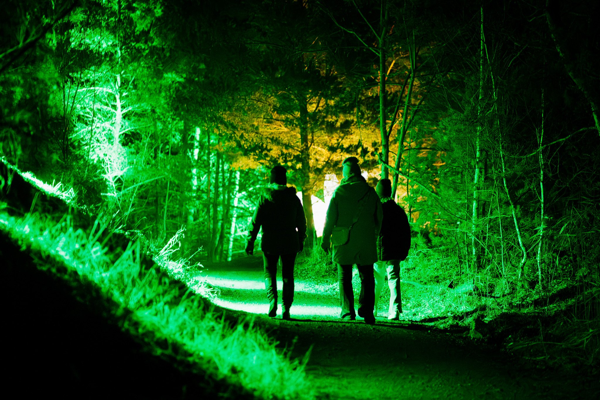 Drie mensen wandelen 's nachts door een bos, verlicht door groene en gele lichten.