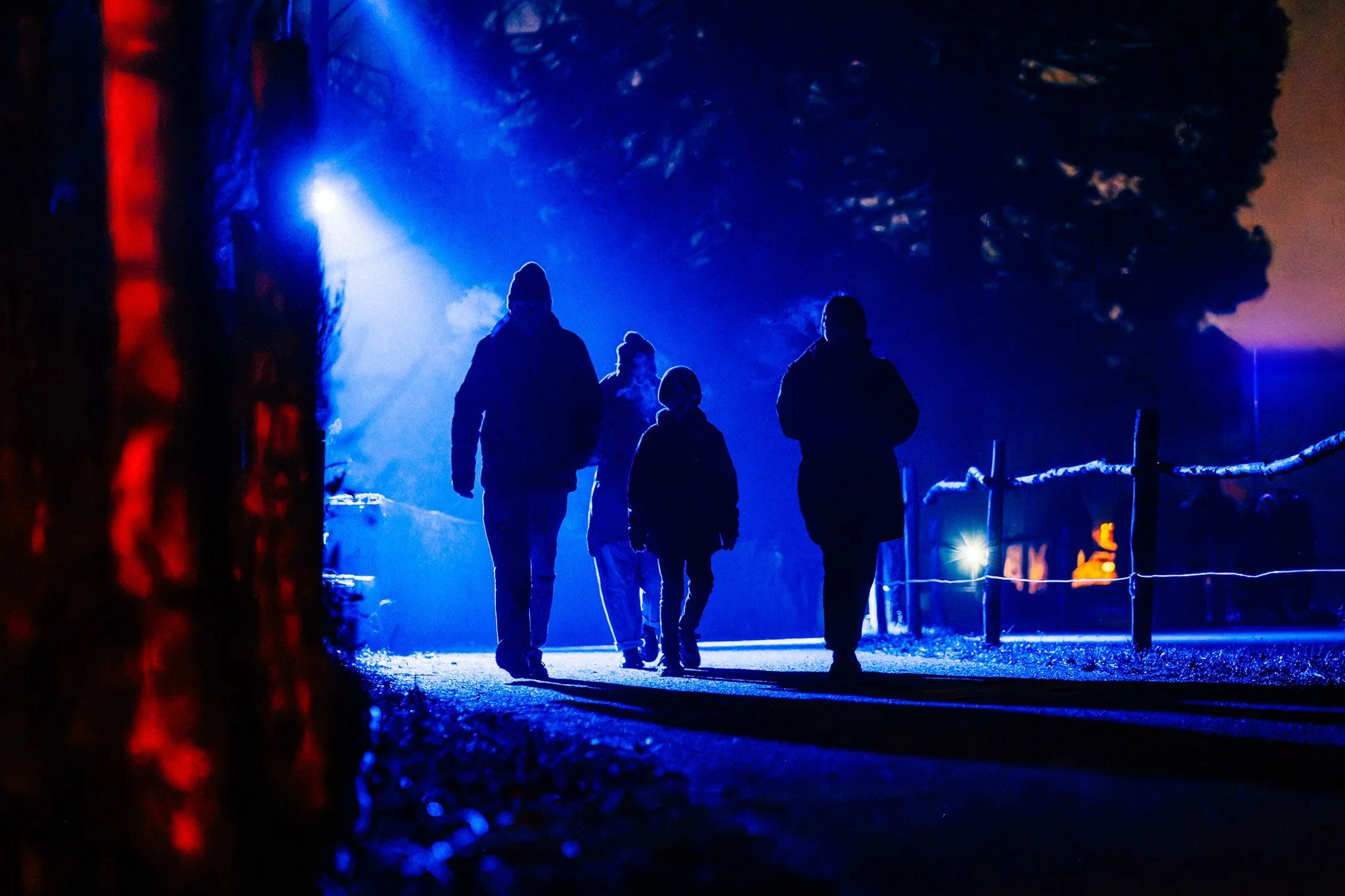 Vijf mensen wandelen in een winterlandschap 's avonds of 's nachts, met blauwe verlichting en struiken of bomen op de achtergrond.