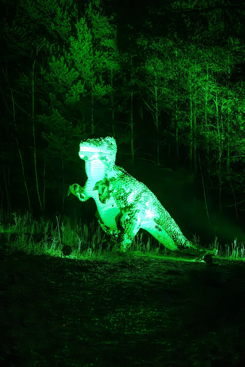 Foto 87: Aardegedeelte van Luminoctis met groen licht, organische vormen en natuurlijke installaties.