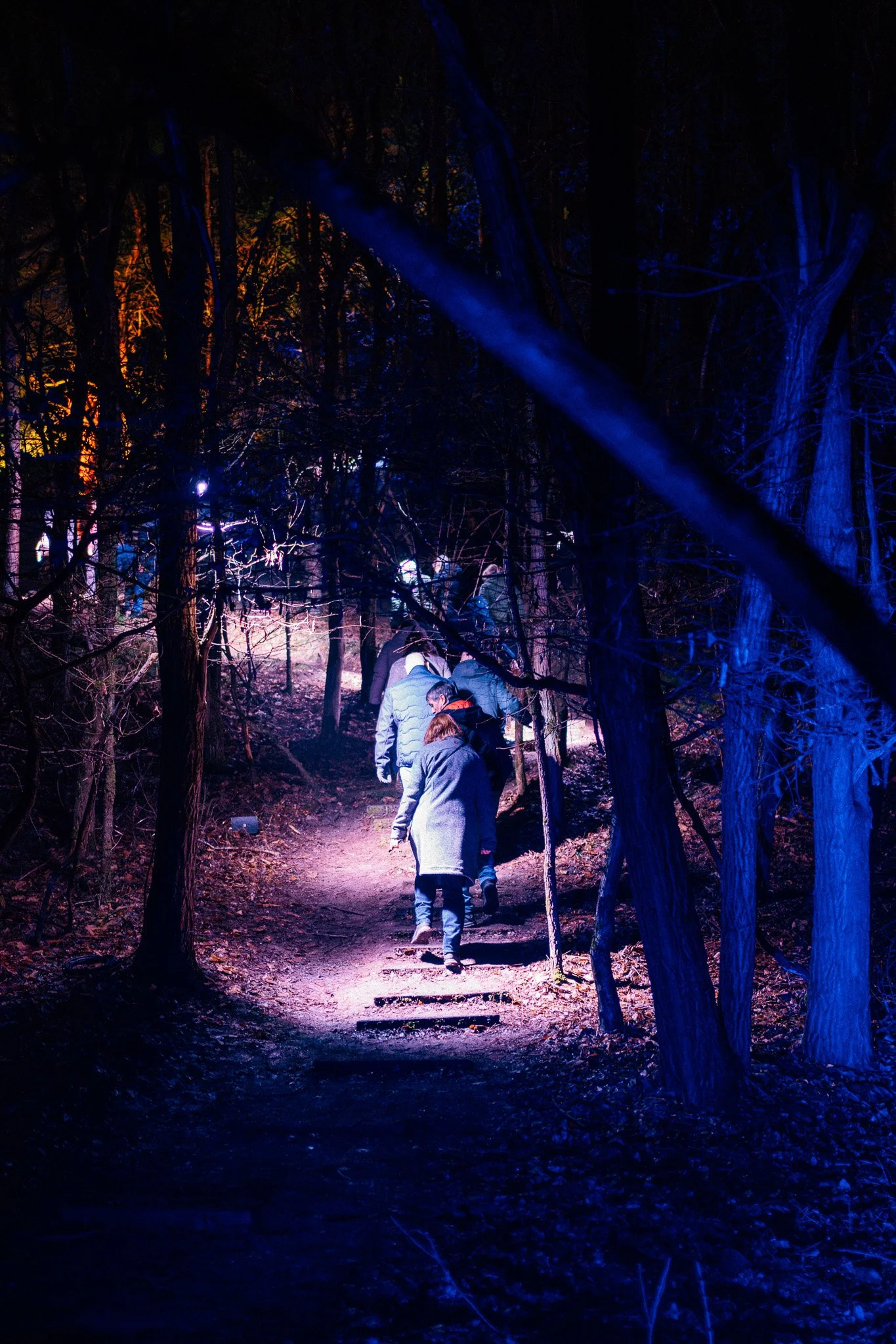 Mensen wandelen door een donker bos in de avond, verlicht door felle lichten en een blauwe gloed op de bomen en de grond.