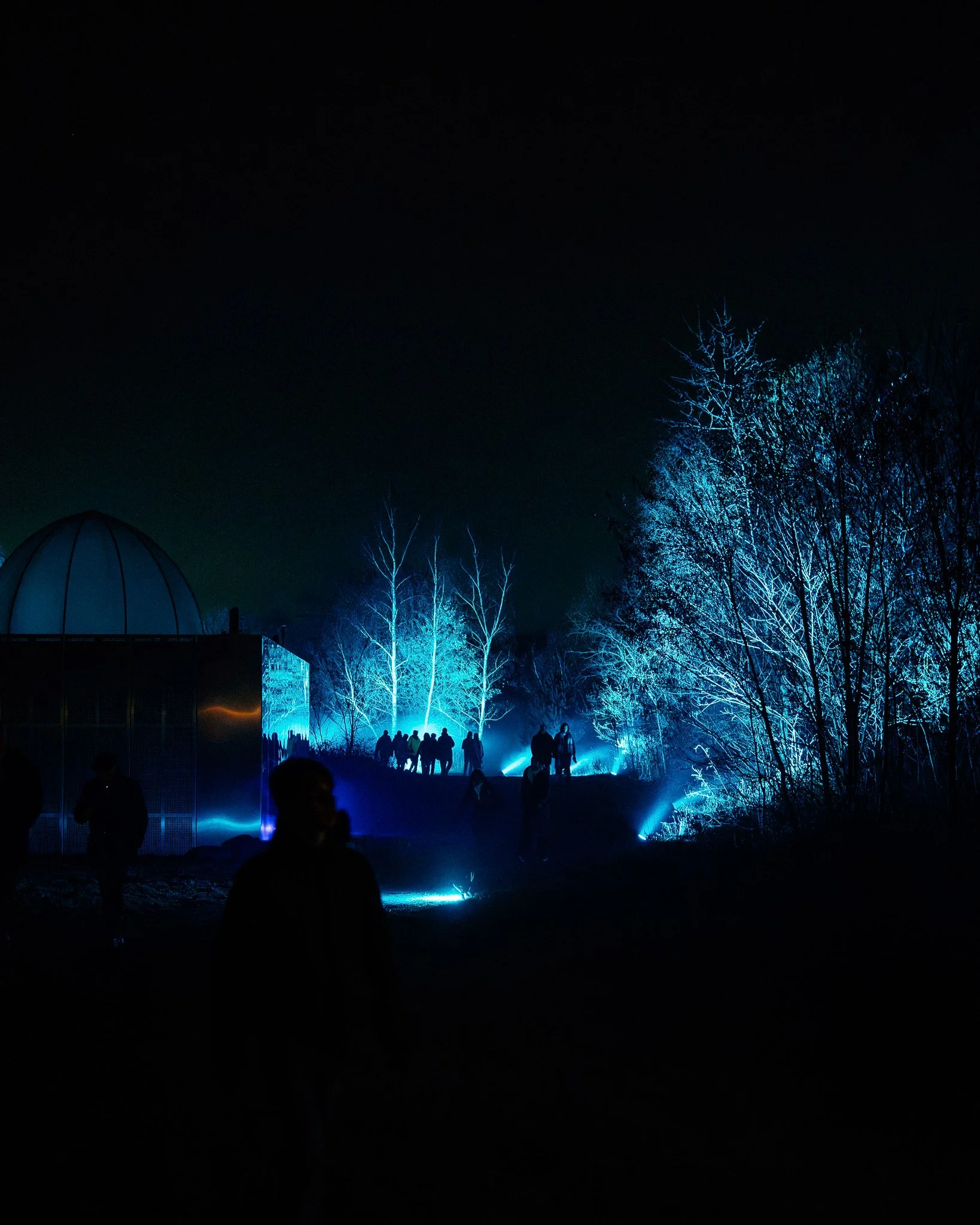 Nachtbeeld van een donkere, heldere decoratieve lichten in de vorm van blauwe verlichte bomen, met silhouetten van mensen die ervan genieten.