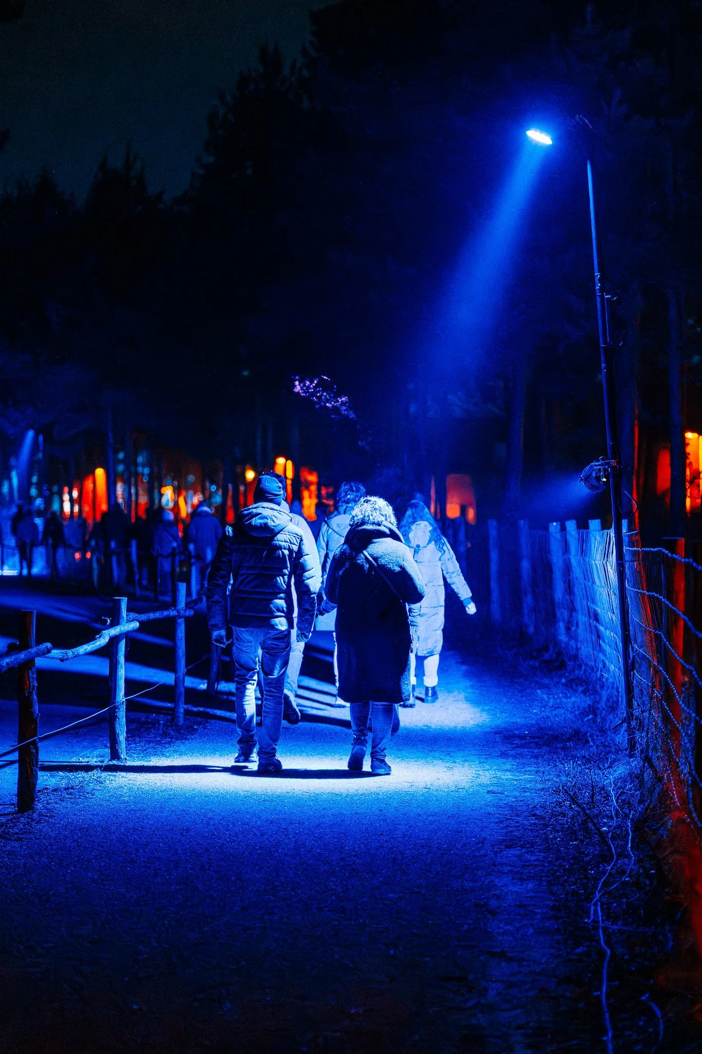 Mensen lopen 's avonds langs een verlichte weg met blauwe straatverlichting en rode lichtinval in de achtergrond in een bosrijke omgeving.