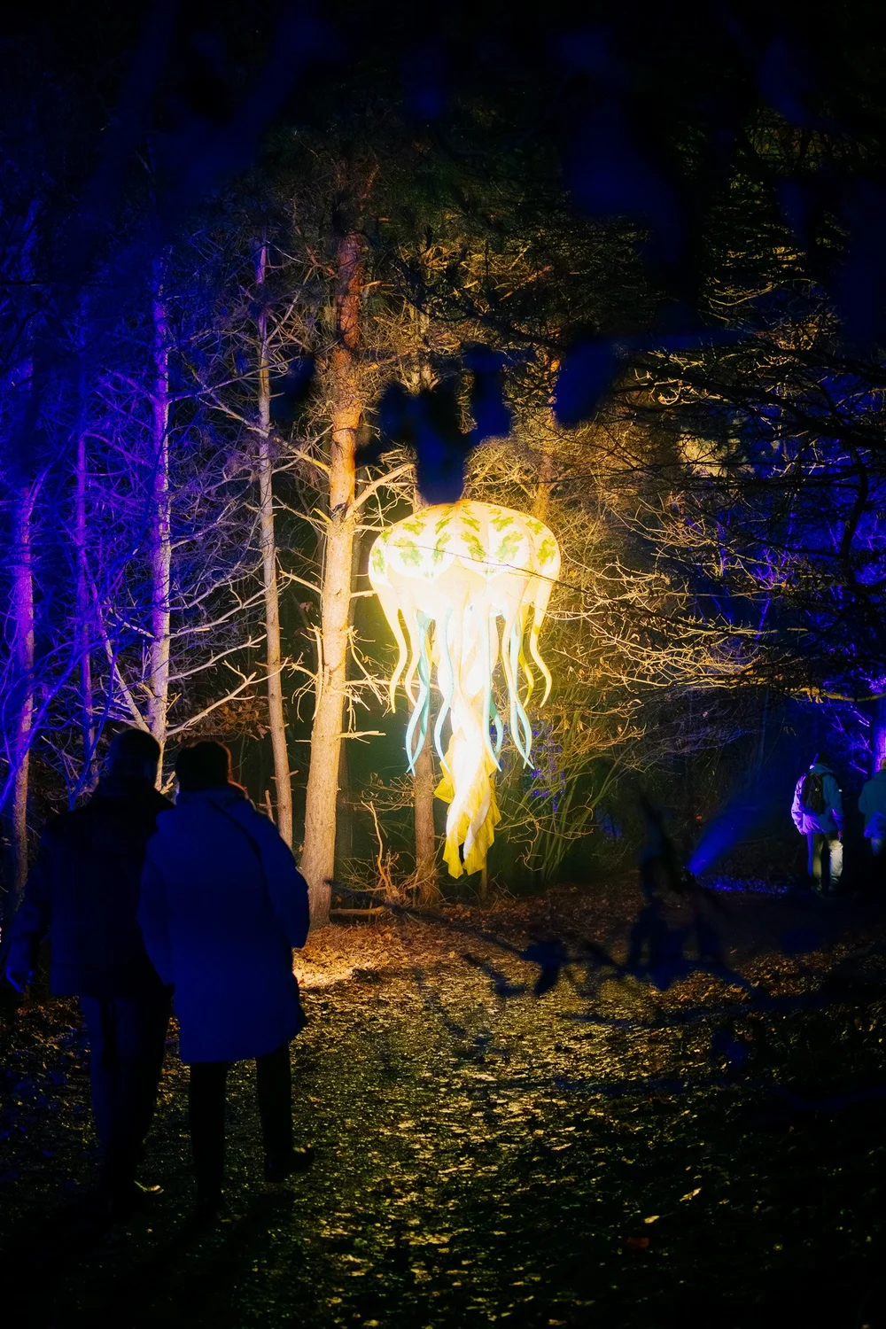 Foto 52: Watergedeelte van Luminoctis met blauwe lichtlijnen, reflecties, brugbeelden en installaties.