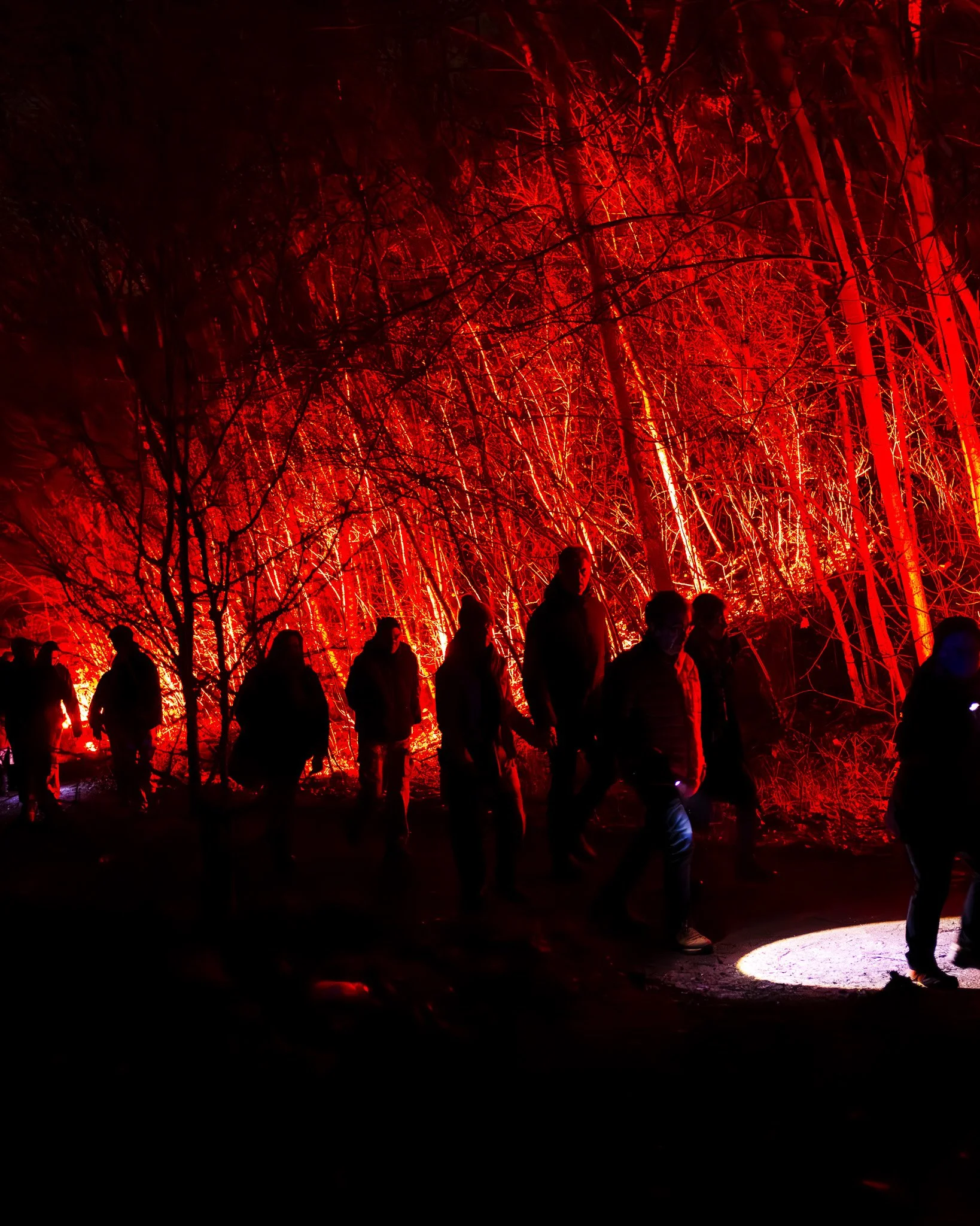 Silhouetten van mensen wandelen door een bos dat verlicht is met rood licht, vooral op de bomen en struiken. Er is een donkere achtergrond met een fel verlichte cirkel op de grond.