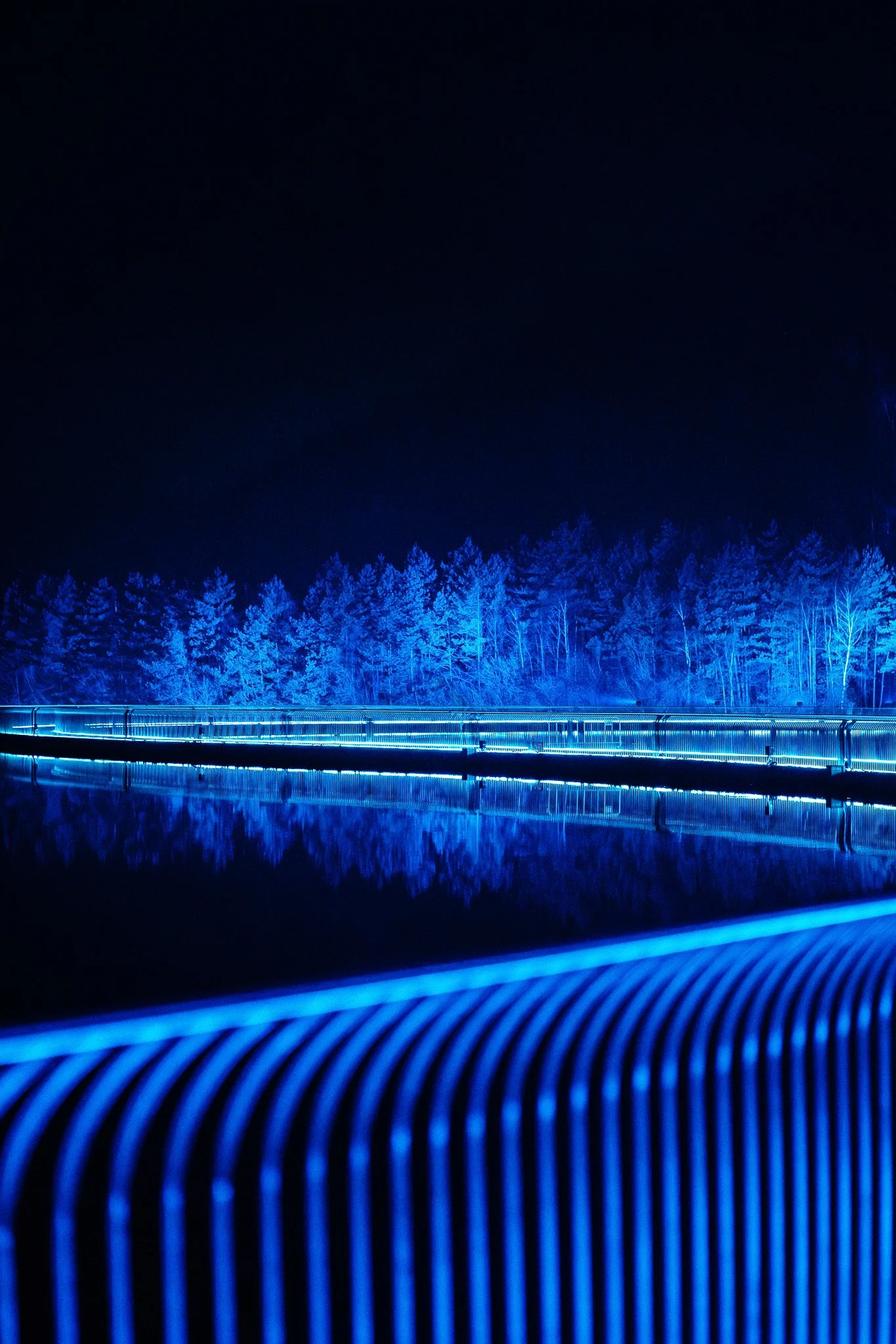 Lichtinstallatie met blauw licht langs een wateroppervlak en bomen op de achtergrond, 's nachts