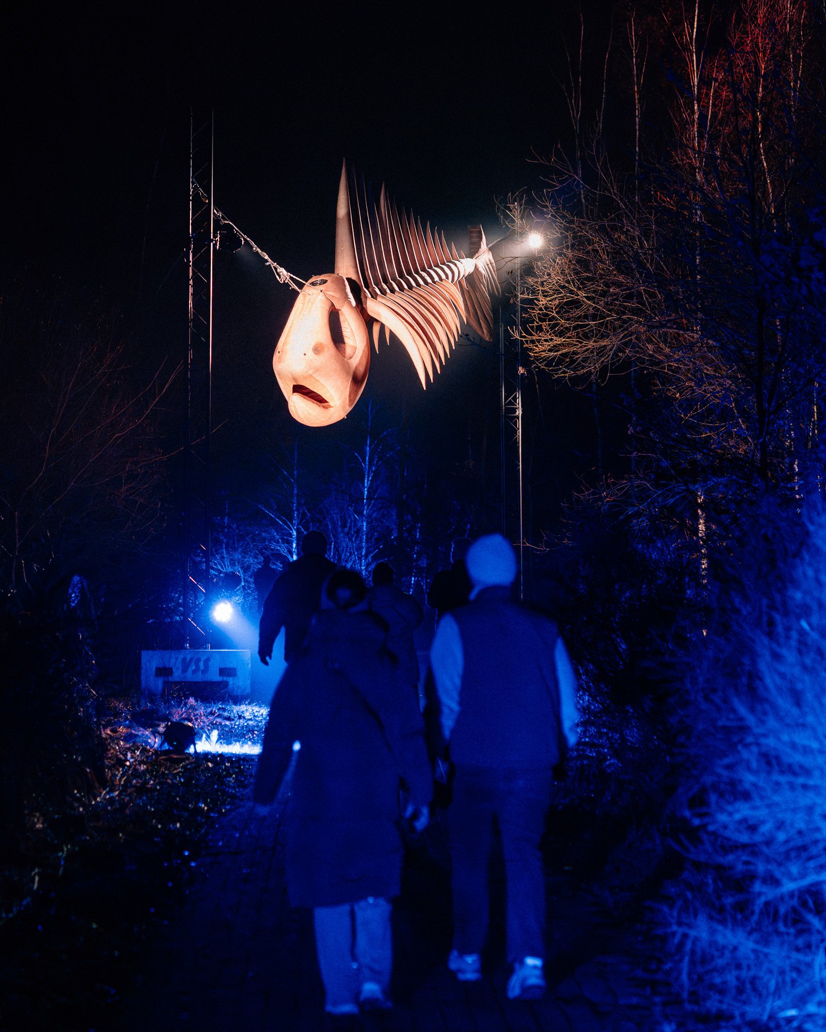 Groep mensen die naar een houten kunstwerk kijken in een park 's nachts, verlicht door blauwe en witte lichten