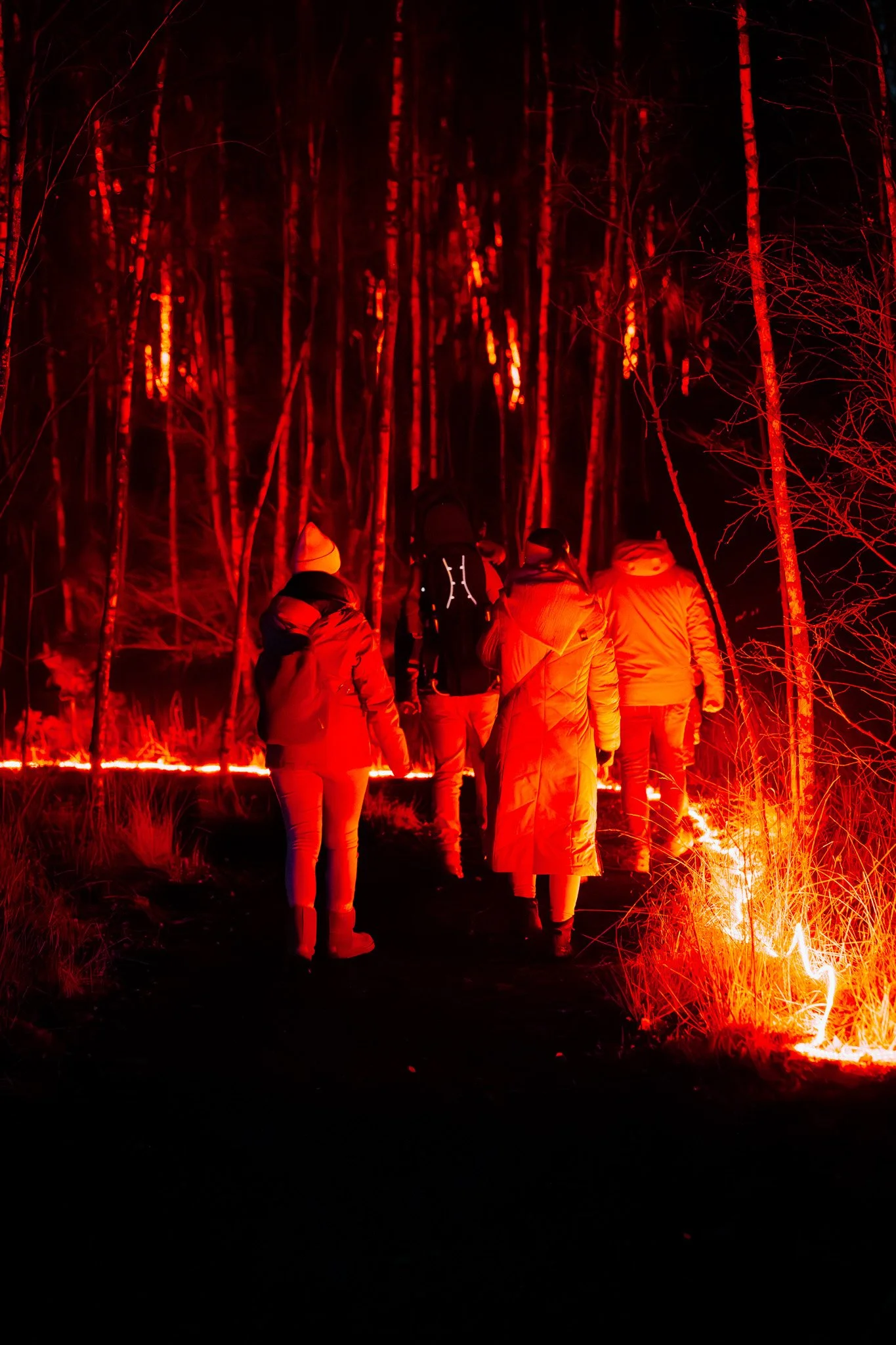 Mensen wandelen door een bos bij nacht met een vurige lichtshow die de bomen verlicht.