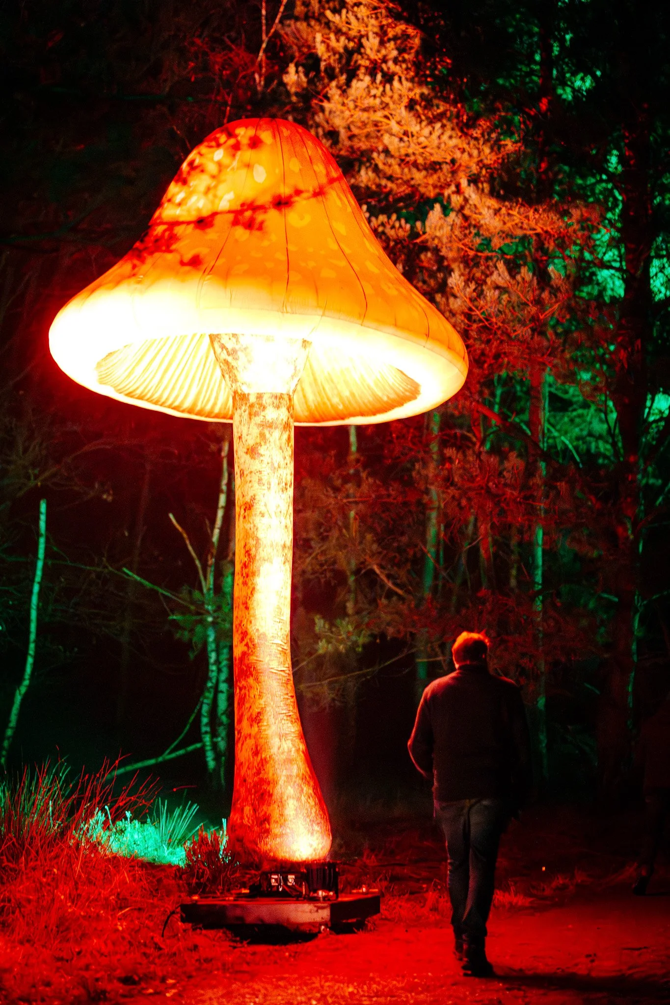 Een grote ondersteboven omgekeerde paddenstoelvormige lamp die een warm oranje en gele gloed uitstraalt, opgesteld in een donker bos met kleurrijk verlichte bomen. Een persoon loopt op het pad naast de lamp, met de rug naar de camera.