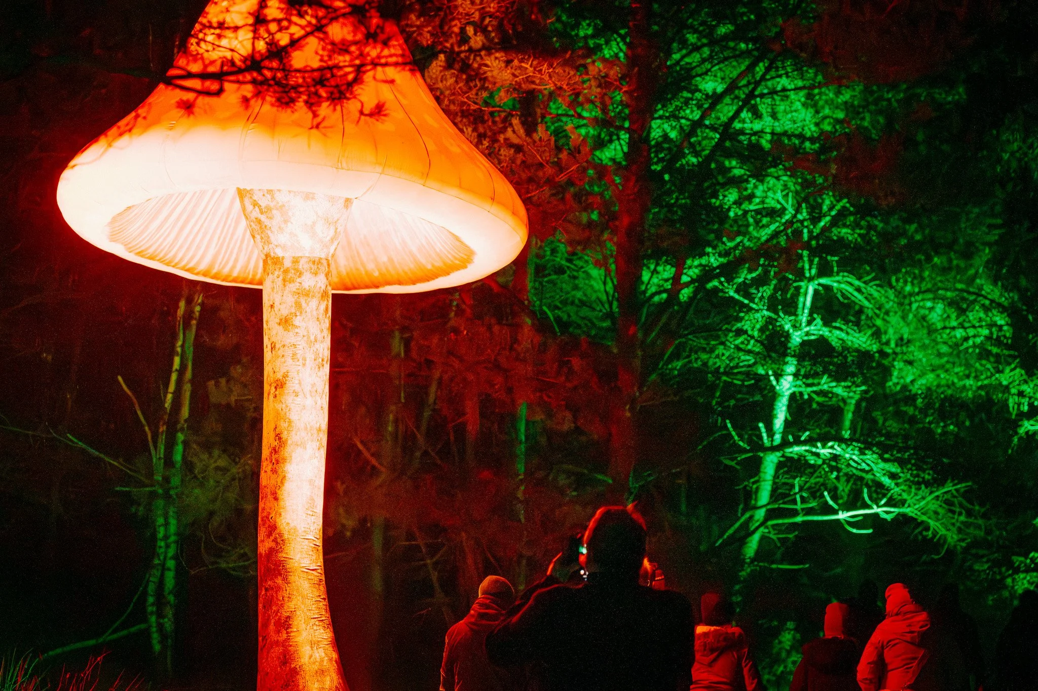Mensen bekijken een verlicht paddenstoel in een bos tijdens een nachtelijke lichtshow.