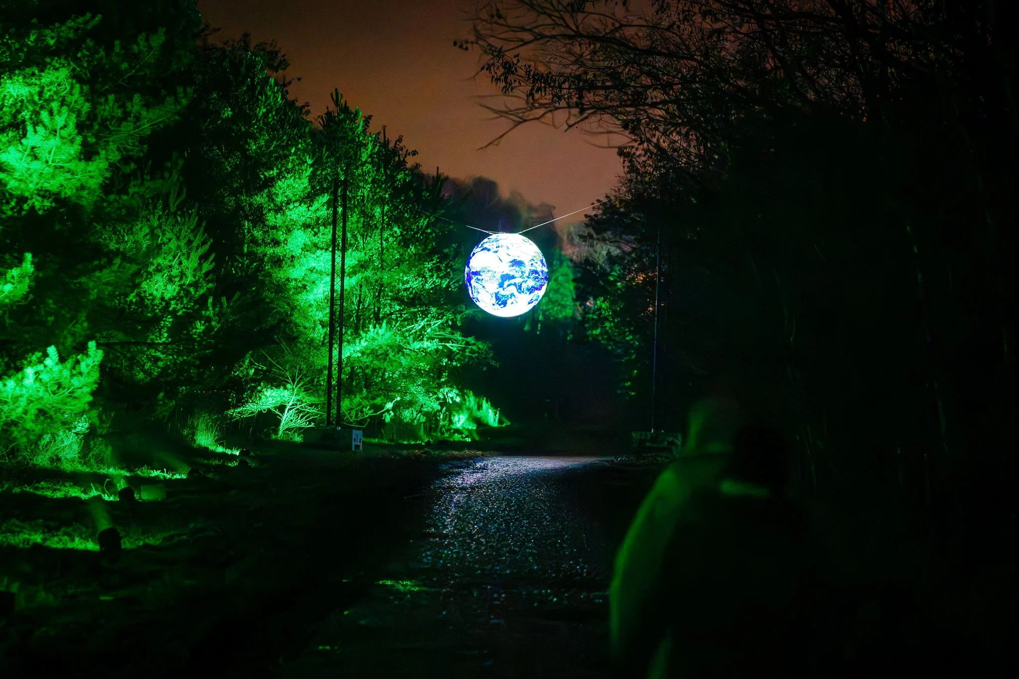 Een verlichte globe hangt in een donkere tuin, omringd door bomen met groene verlichting.
