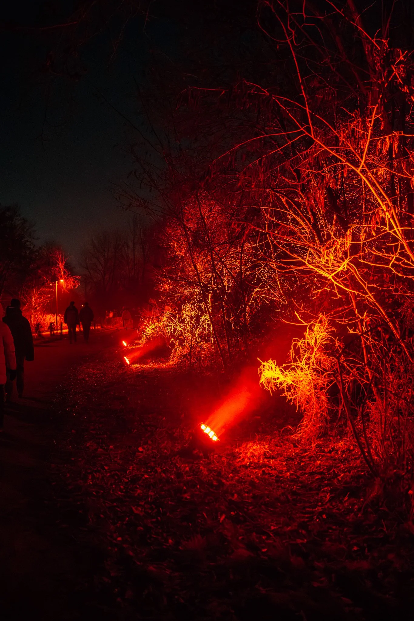 Het beeld toont een pad in een park of bos met rode verlichting. Mensen lopen langs de verlichte pad, op de achtergrond zijn bomen en struiken te zien die door de rode verlichting oplichten.