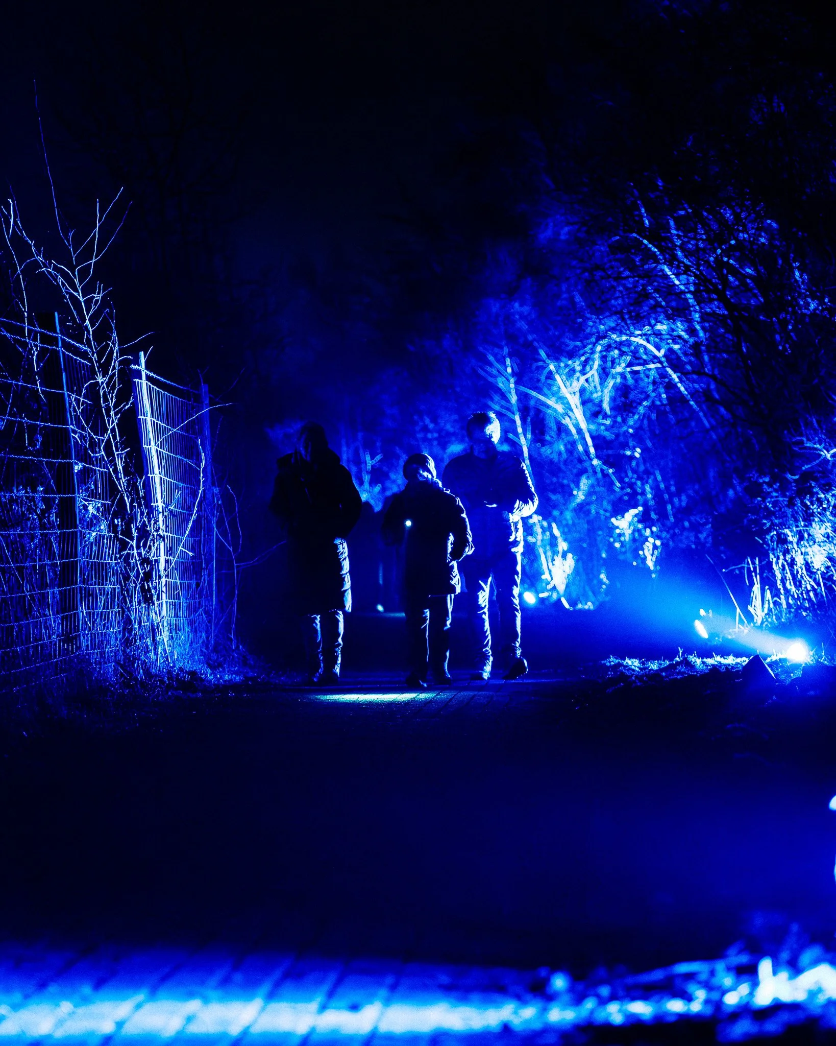 Mensen lopen door een pad met blauwe en witte verlichte bomen tijdens een nachtelijke lichtshow.
