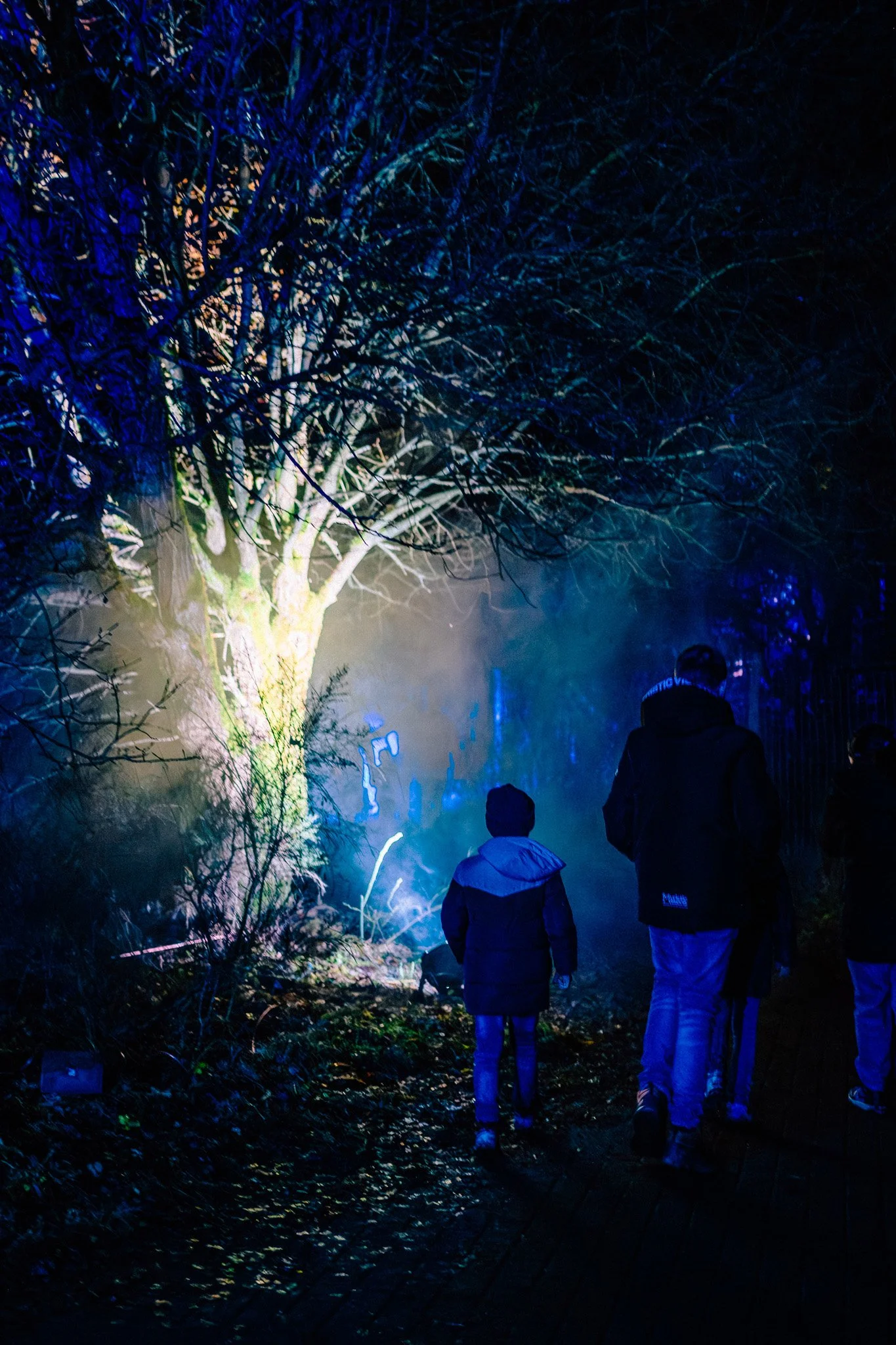 Twee kinderen en een volwassene lopen door een donker bos, verlicht door gekleurd licht dat de takken van een boom verlicht.