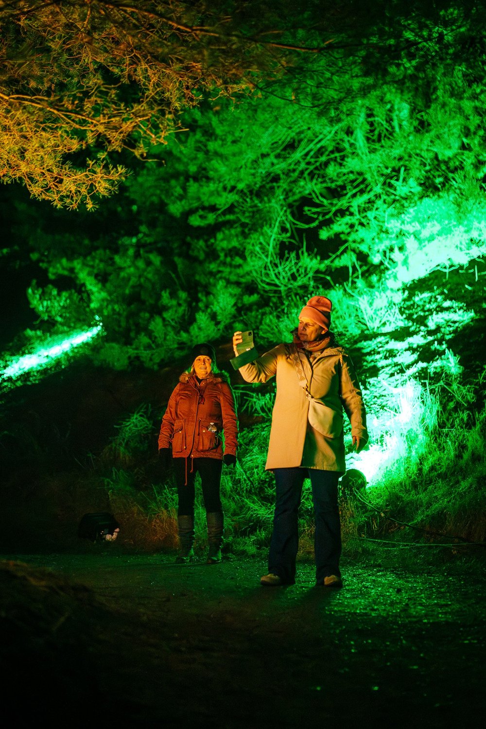 Foto 89: Aardegedeelte van Luminoctis met groen licht, organische vormen en natuurlijke installaties.