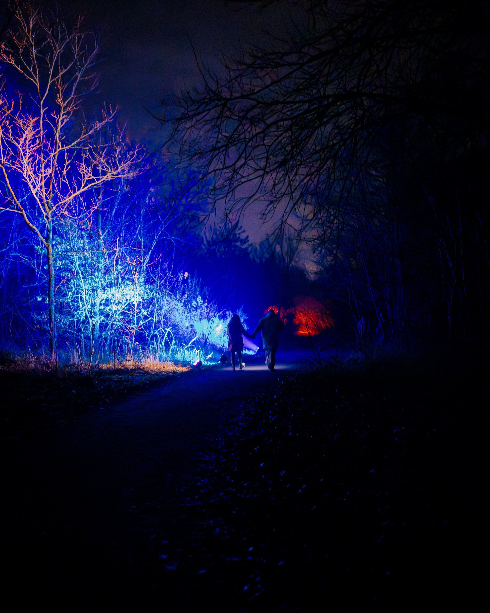 Twee mensen lopen hand in hand langs een pad in een donker bos, verlicht door blauwe en oranje lichten, 's nachts.