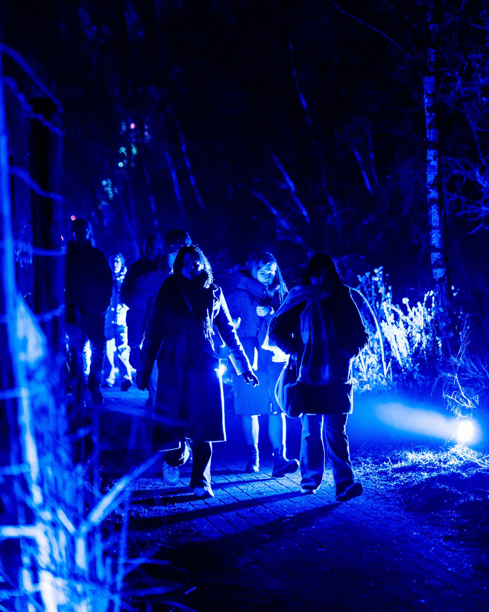 Mensen lopen 's avonds in een bos onder blauwe verlichting.