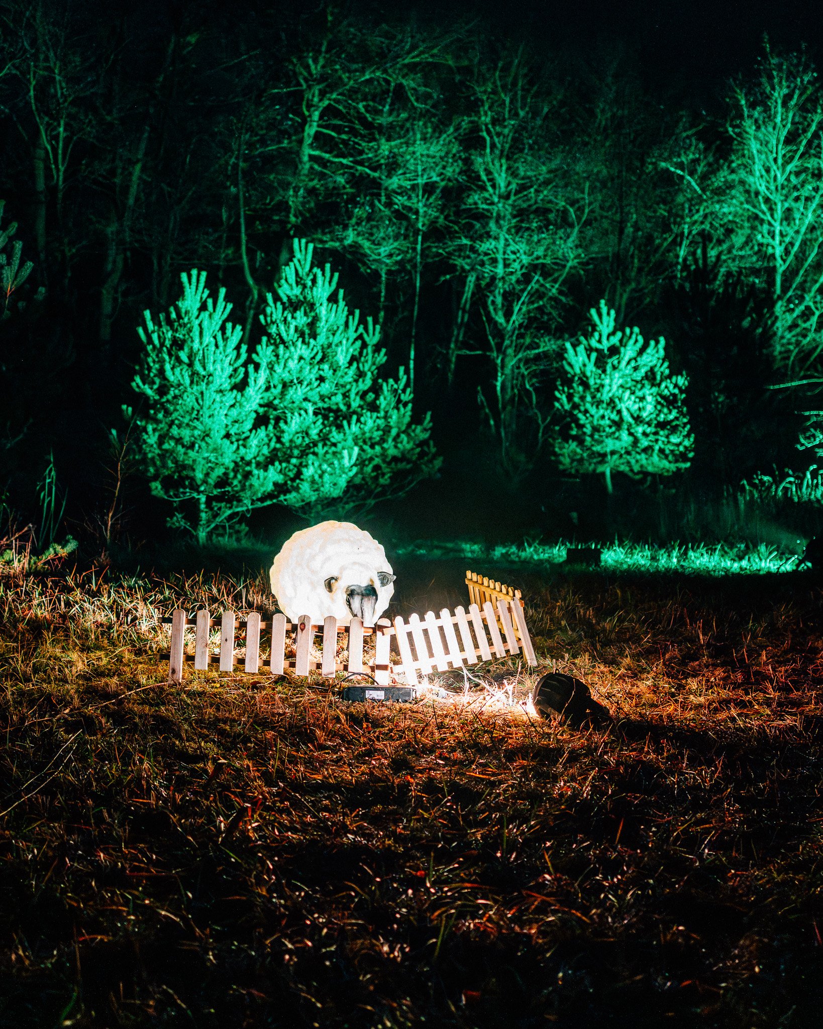 Lichtprojecties op bomen bij nacht, voorgrond met een schapenvacht, een kleine afscheiding van een houten hek en wat draad, en een lamp op de grond.