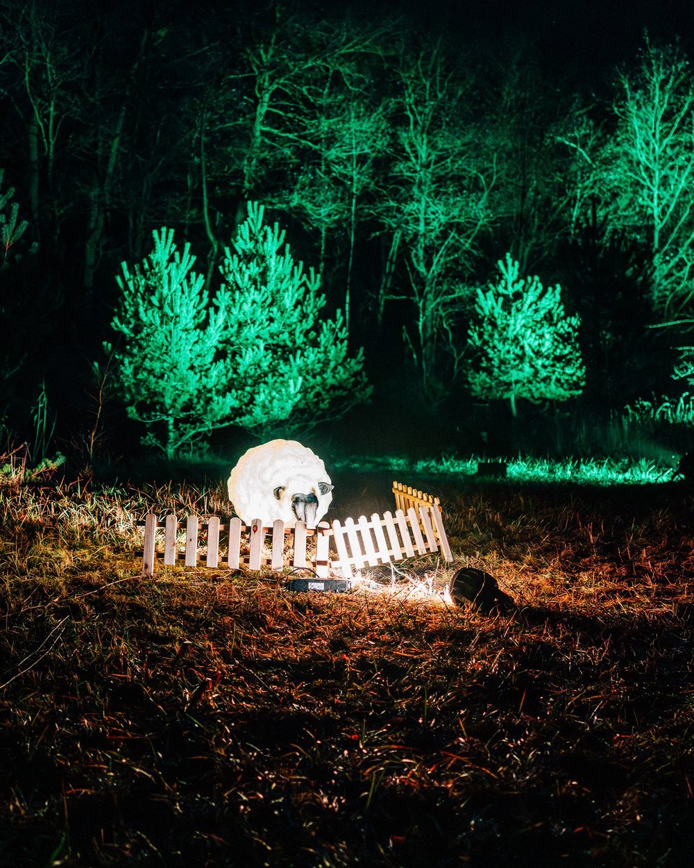 Foto 117: Uitgelicht beeld van Luminoctis met lichtinstallaties, bezoekers en nachtelijke festivalsfeer.
