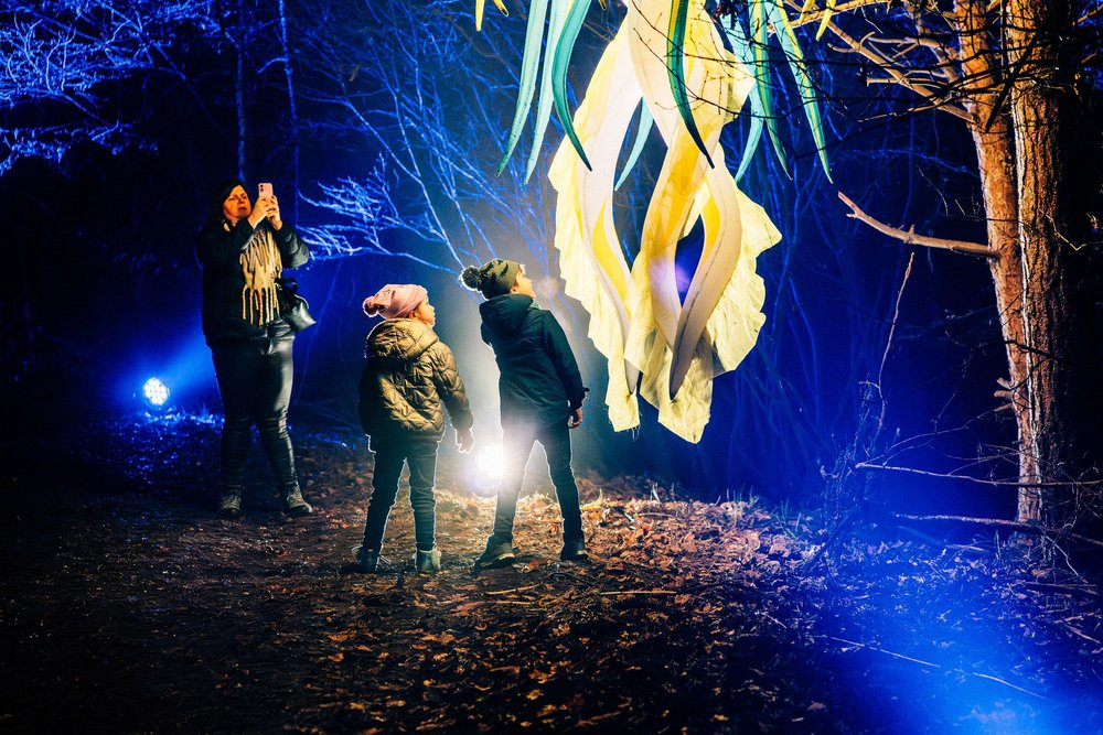 Foto 55: Watergedeelte van Luminoctis met blauwe lichtlijnen, reflecties, brugbeelden en installaties.