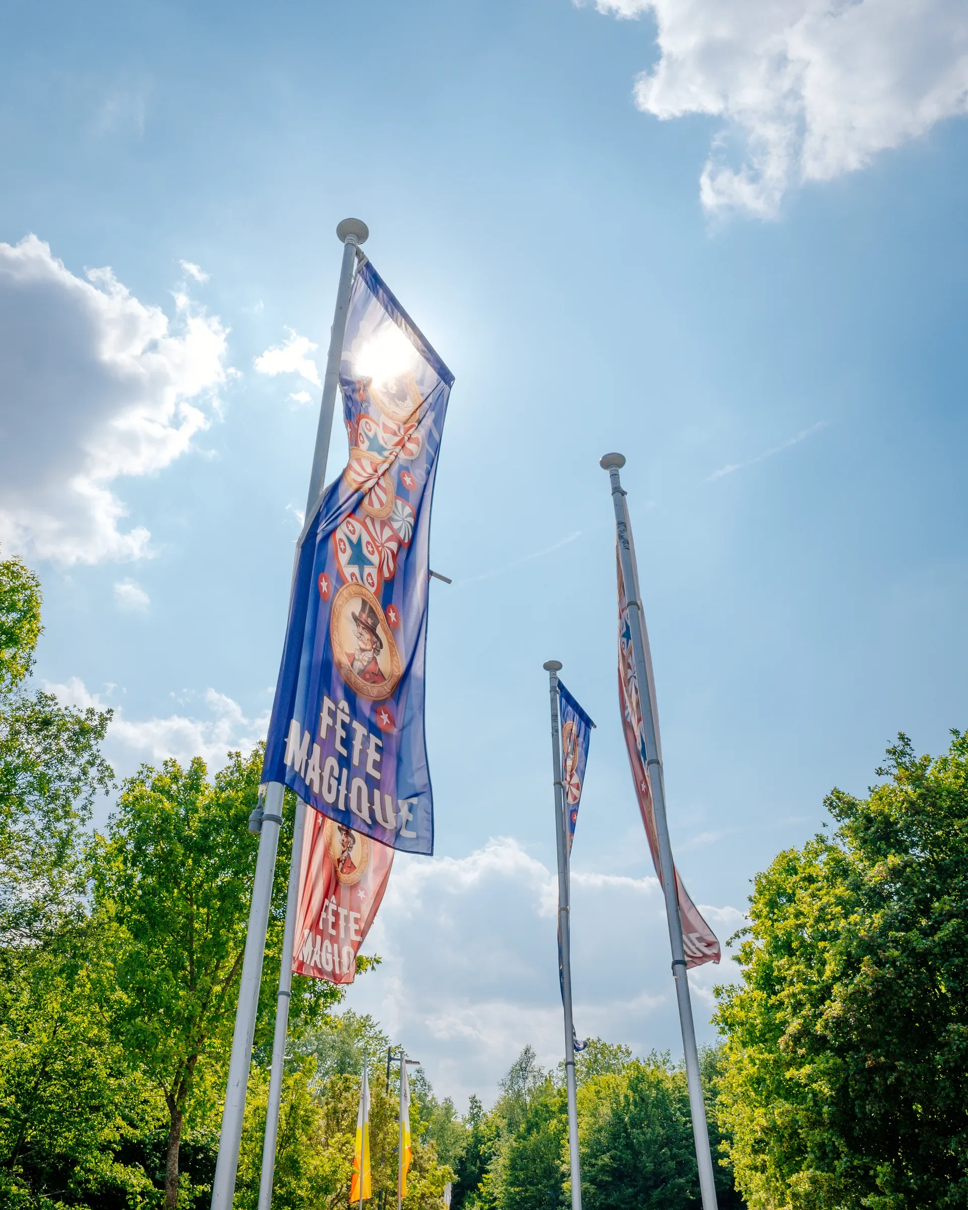 Vlaggen in de lucht met een blauwe achtergrond en een heldere zon, omgeven door groene bomen.