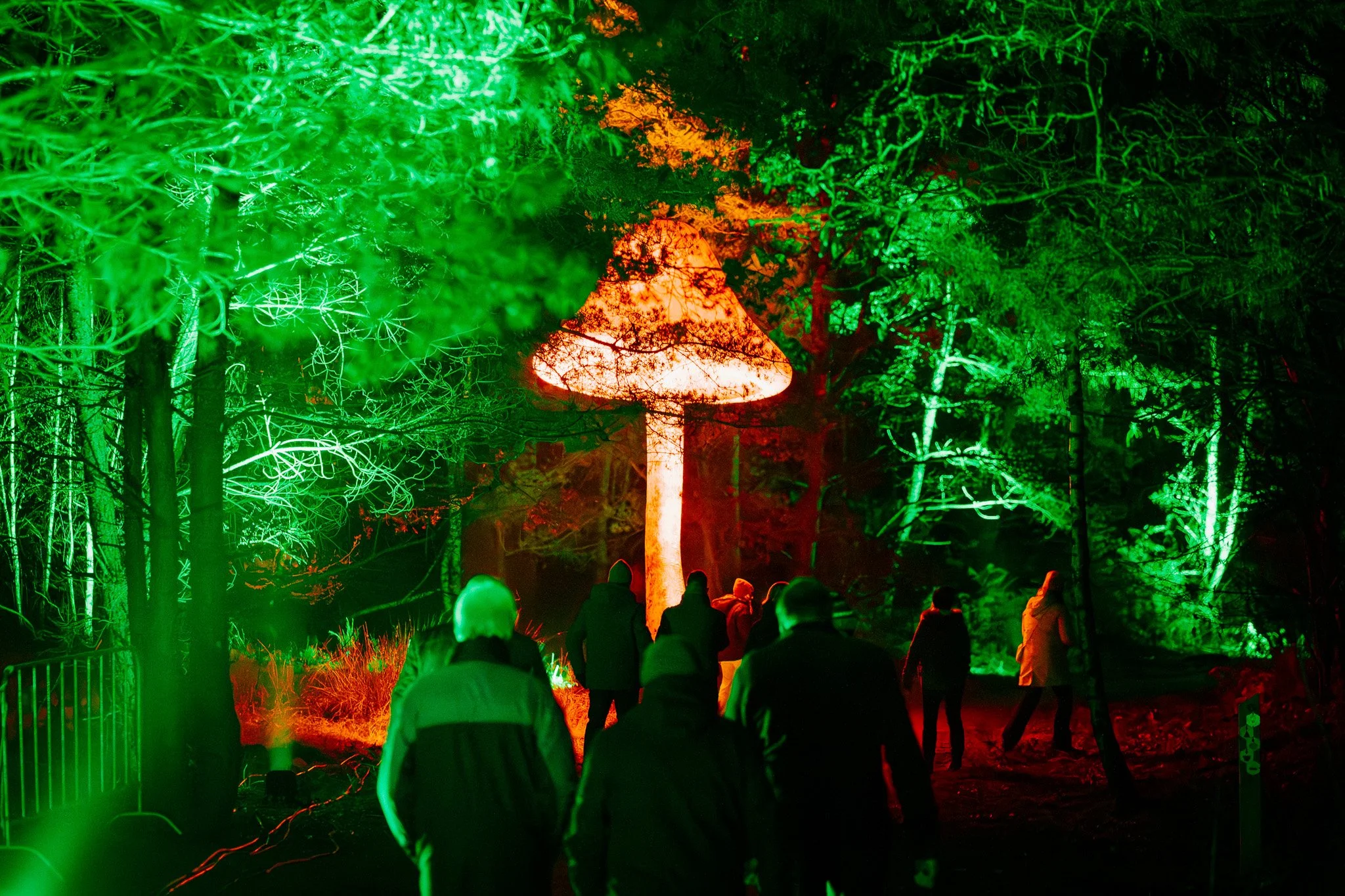Een groep mensen kijkt naar een lichtinstallatie in een bos met groene en oranje lichten.
