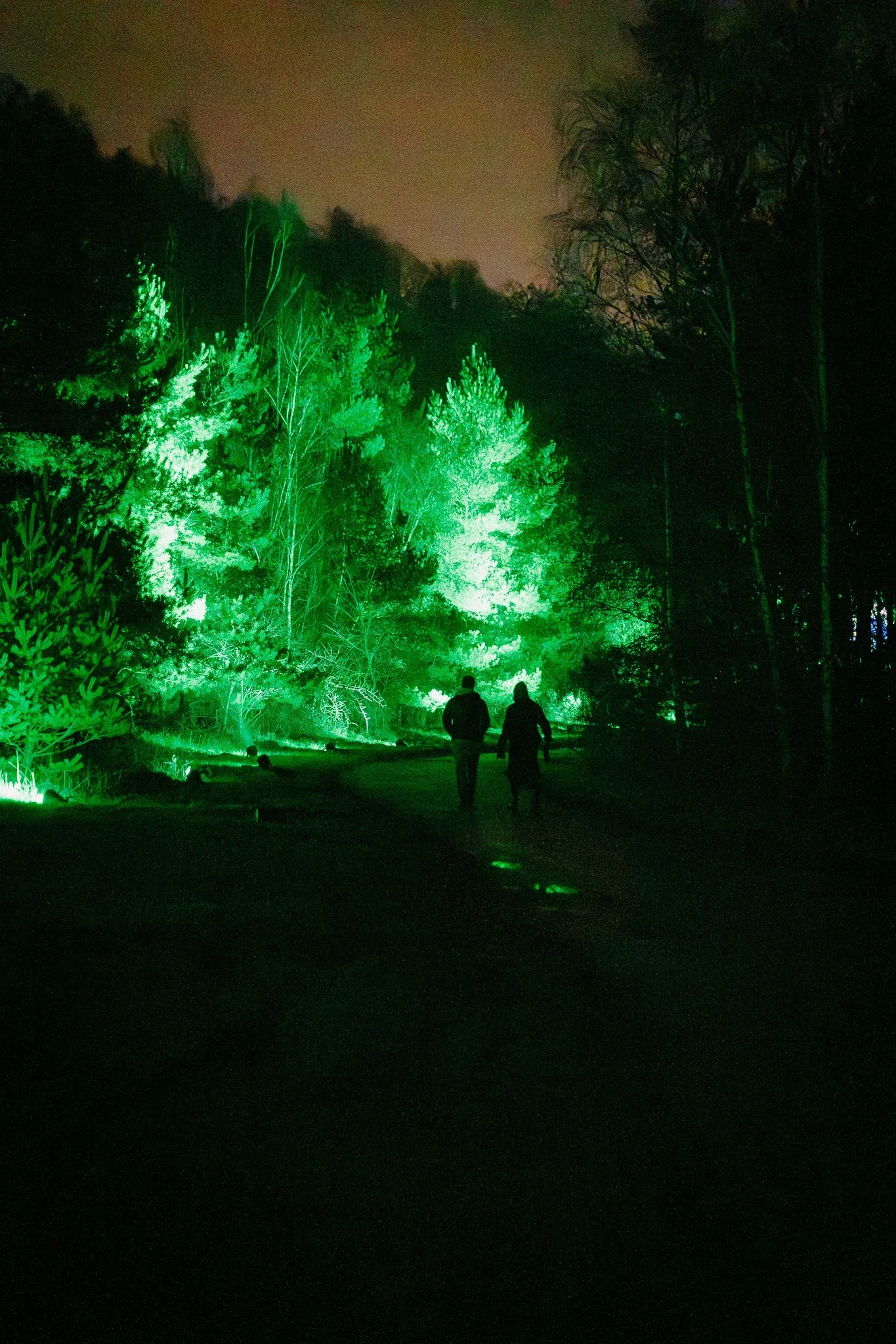 Twee mensen wandelen in een bos bij nacht, verlicht door groene lichten, met bomen en een donkere hemel op de achtergrond.