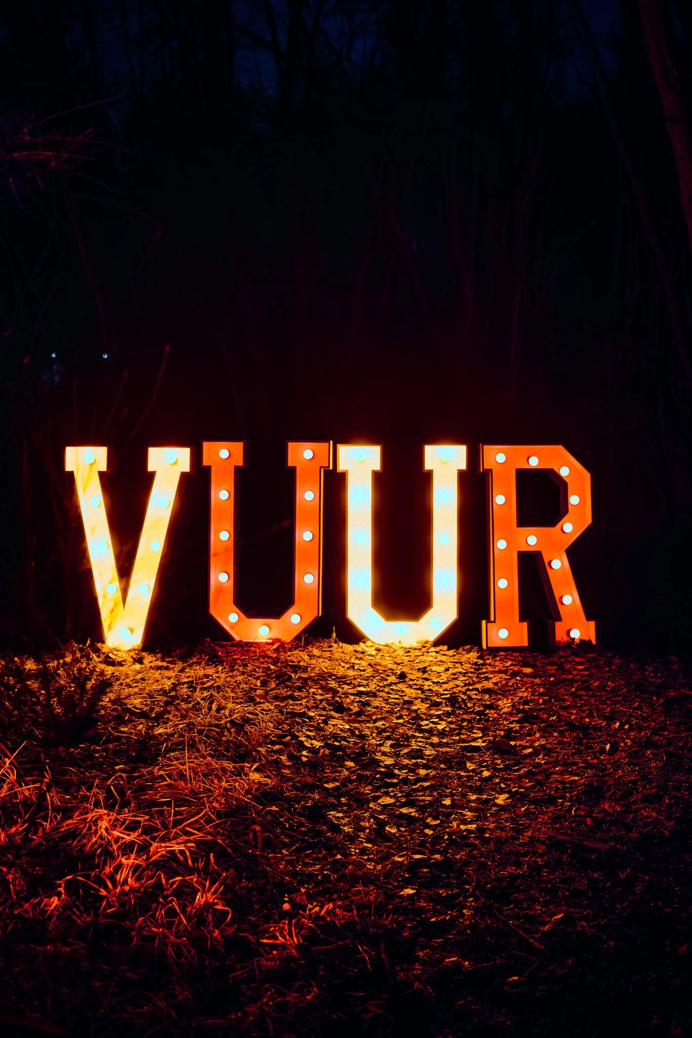 Verlichte letters die samen 'WILD' vormen, geplaatst op een pad met bladeren, 's nachts met donker bos op de achtergrond.