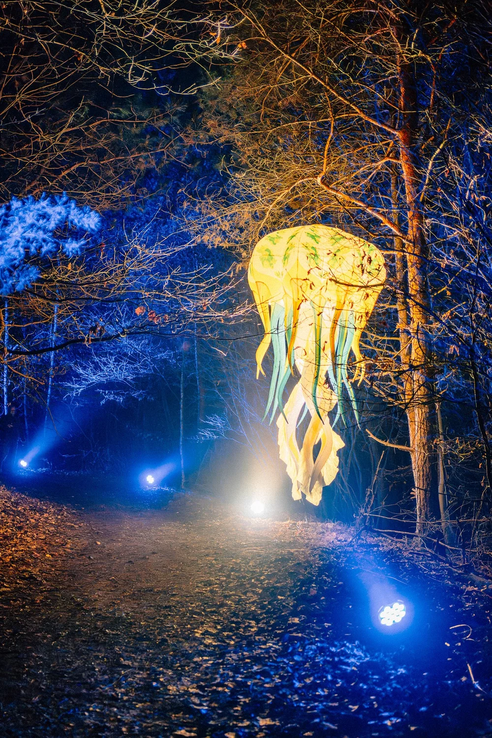 Foto 54: Watergedeelte van Luminoctis met blauwe lichtlijnen, reflecties, brugbeelden en installaties.