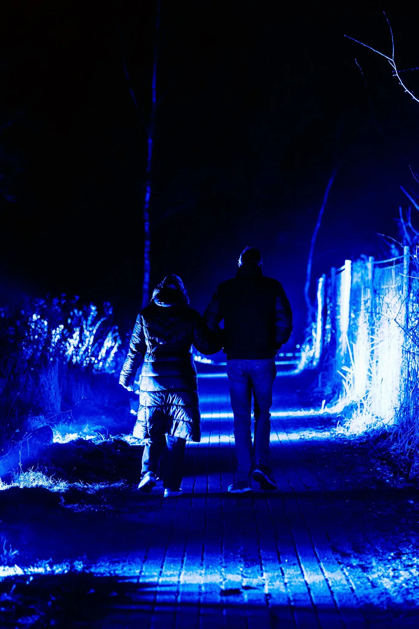 Twee mensen wandelen samen 's nachts op een pad verlicht door blauwe verlichting, omringd door bladeren en bomen.