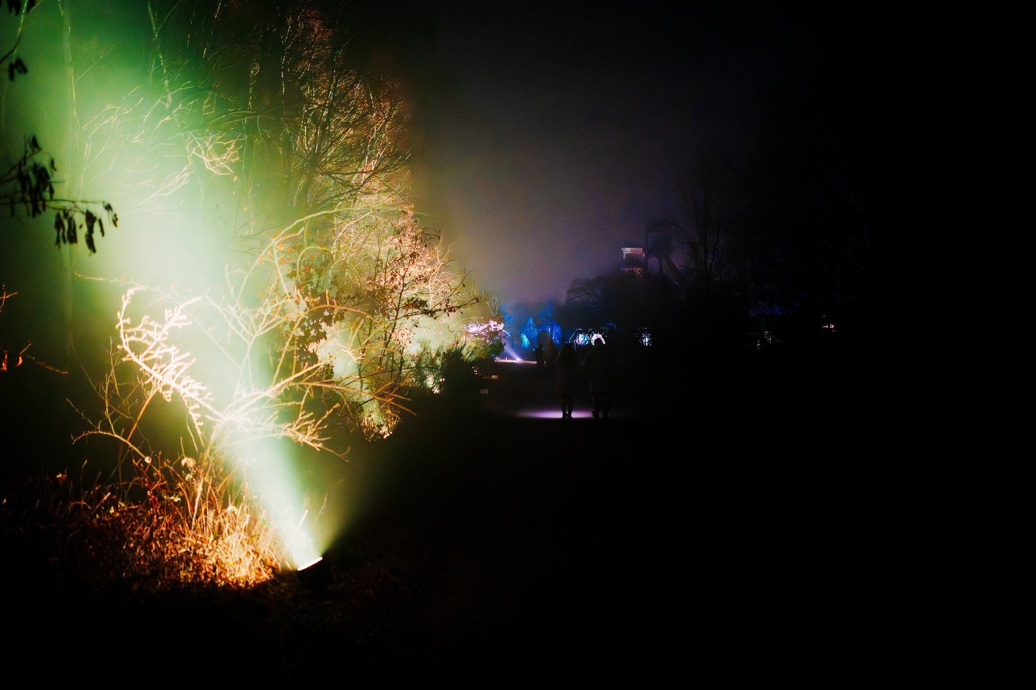 Een nachtbeeld van een groene lichtstraal die door bomen en struiken schijnt, met meerdere kleurrijke lichtprojecties op de achtergrond, en silhouetten van mensen die ernaar kijken.