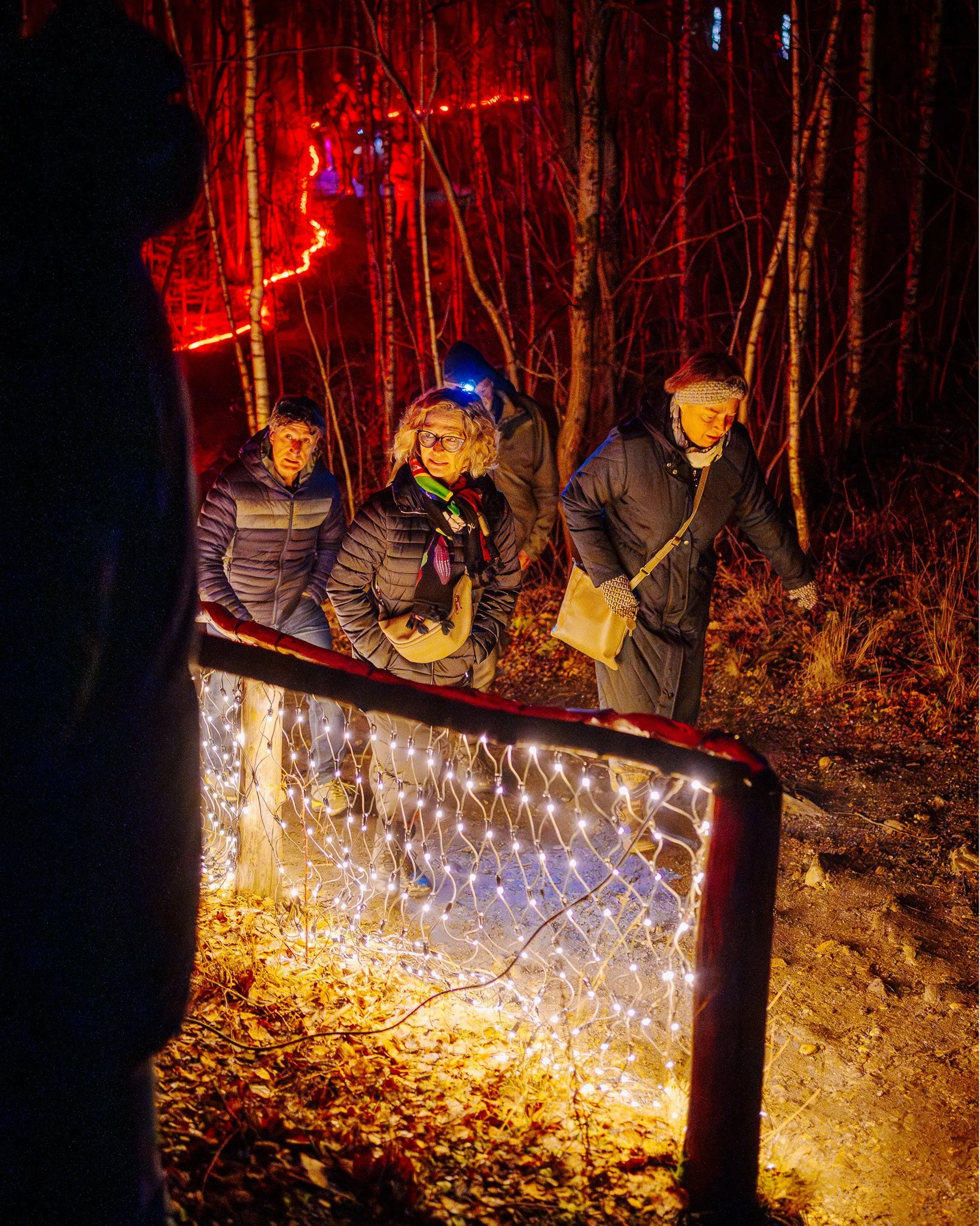 Mensen wandelen door een donker bos dat verlicht wordt door kerstverlichting, met bladeren op de grond.