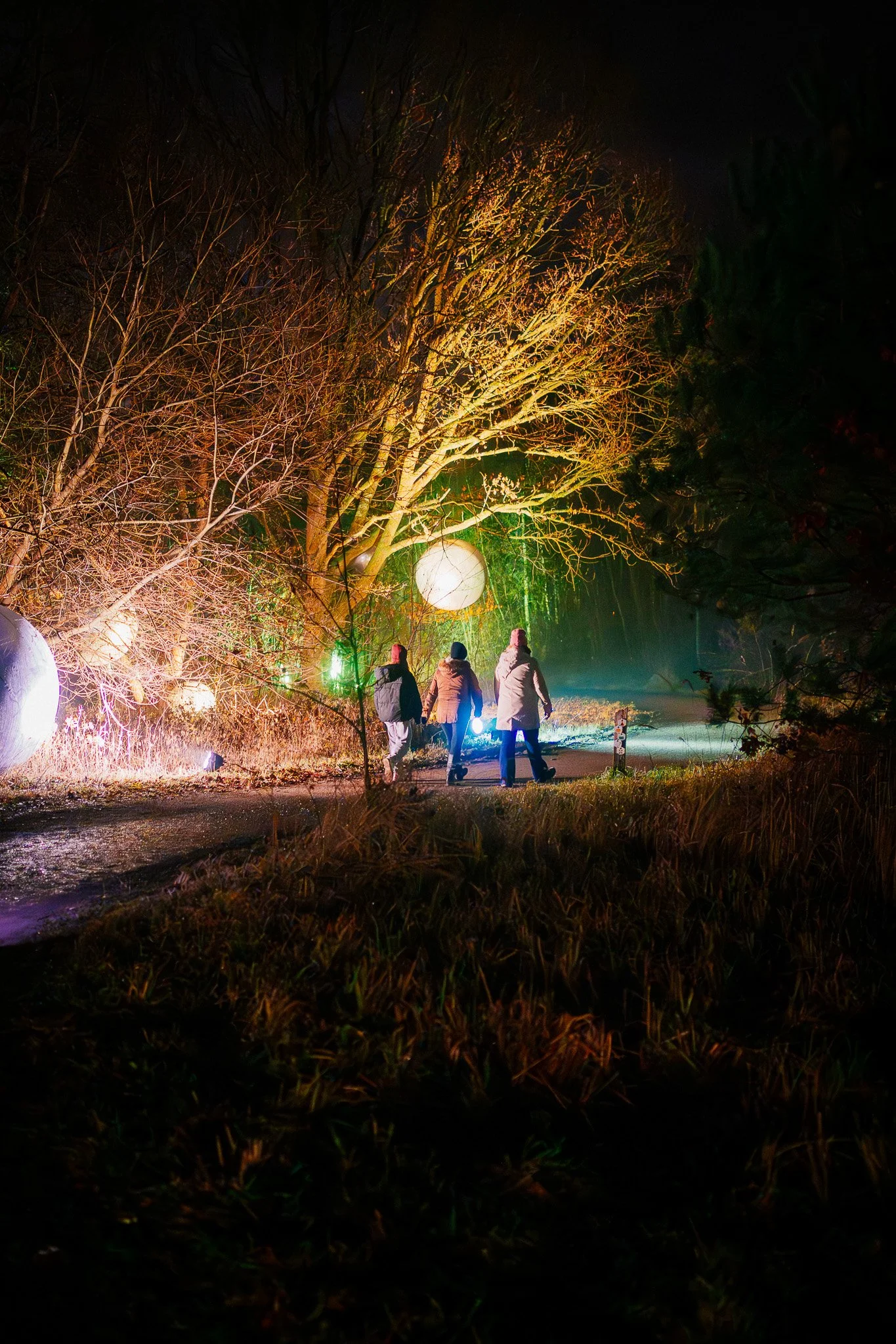 Mensen wandelen 's avonds door een verlichte park- of bosgebied met gebladerte en een verlichte ballon of decoratie op de achtergrond.