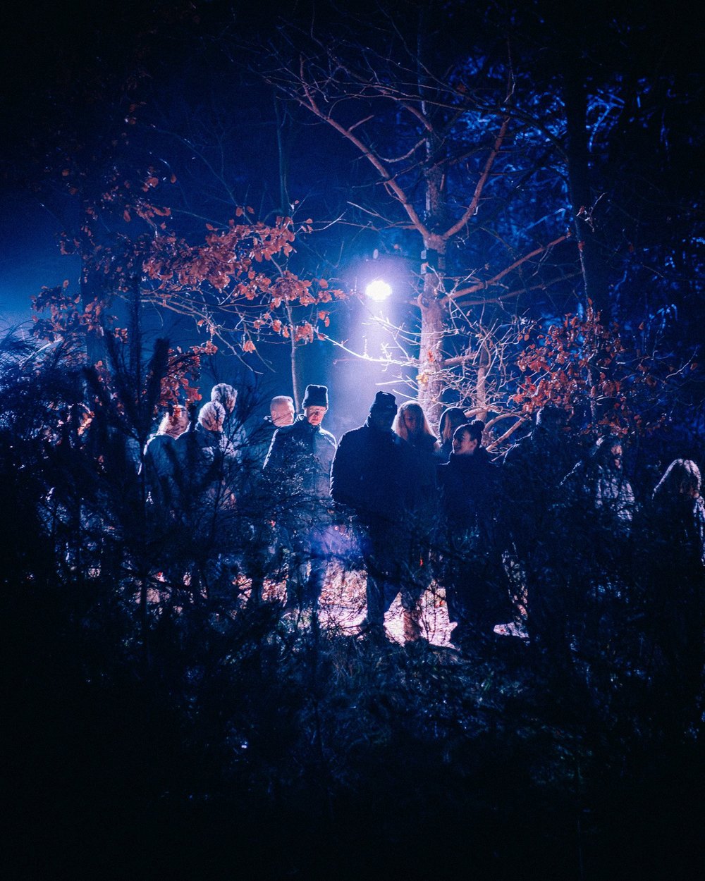Foto 56: Watergedeelte van Luminoctis met blauwe lichtlijnen, reflecties, brugbeelden en installaties.