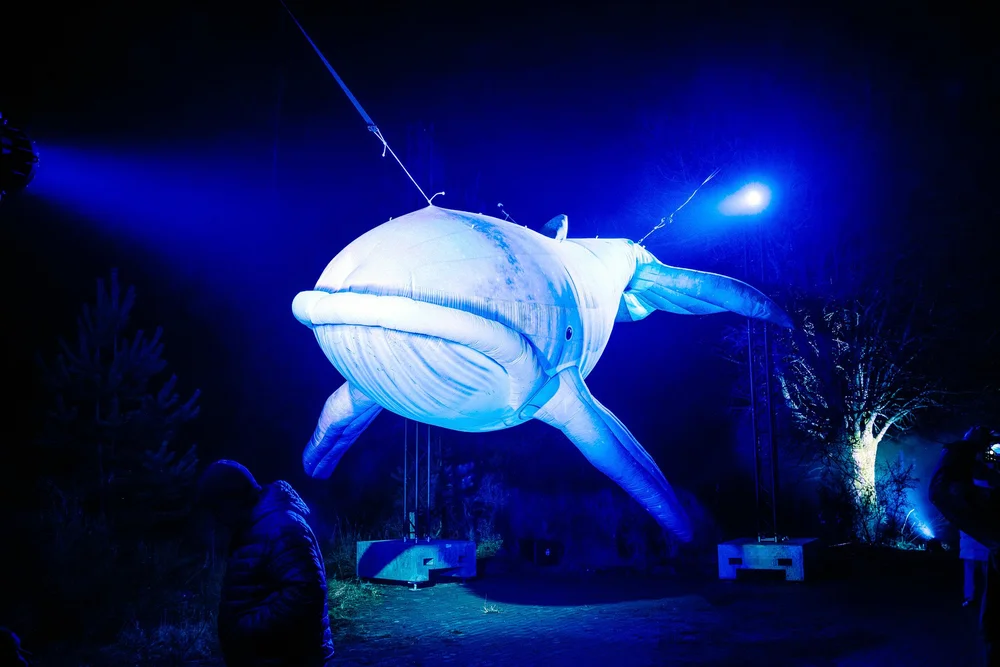 Foto 49: Watergedeelte van Luminoctis met blauwe lichtlijnen, reflecties, brugbeelden en installaties.