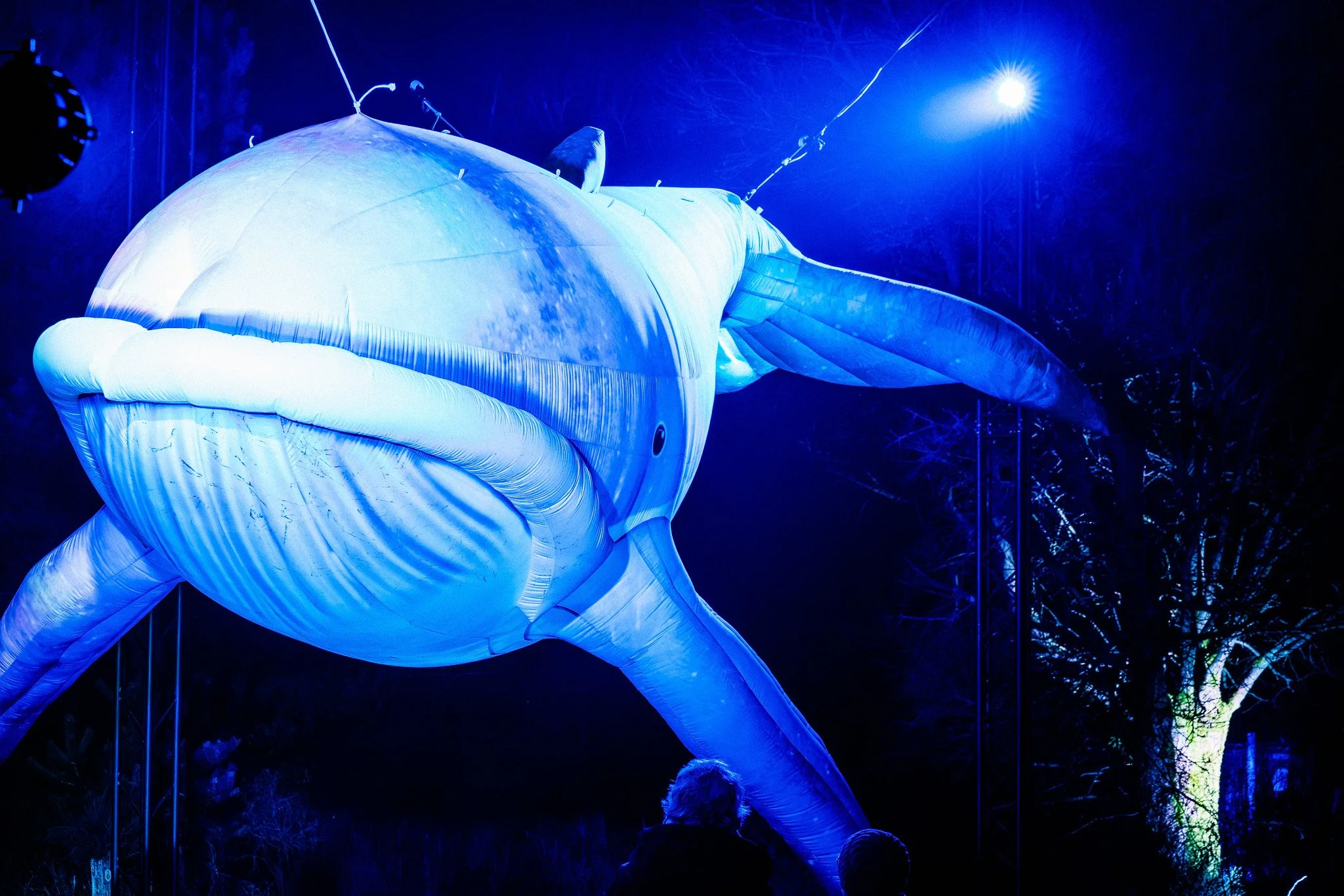 Grote geanimeerde ballon in de vorm van een zeepaardje die 's nachts is verlicht en wordt tentoongesteld tijdens een buitenevenement.