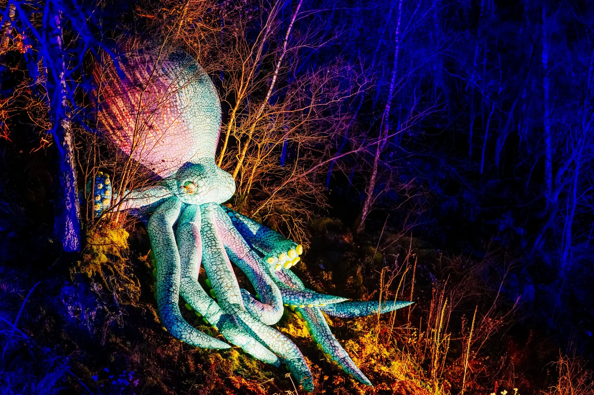 Een kunstwerk van een grote octopus-achtige figuur met een schaal en kleureffecten, omgeven door boomtakken die verlicht zijn met kleurrijke lichten in een nachtelijke omgeving.