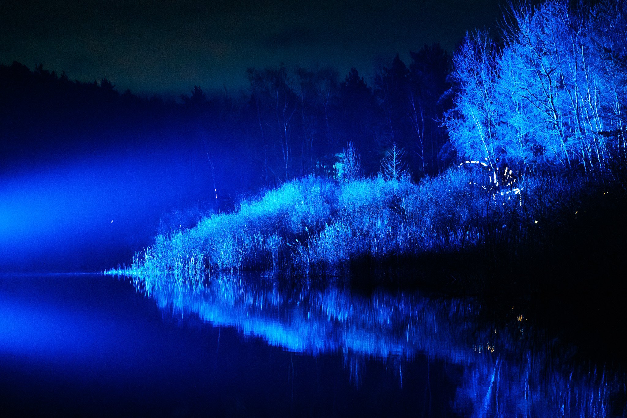 Een nachtlandschap met bomen die met blauwe lichtstralen worden verlicht, weerspiegeld in een kalme waterkant.