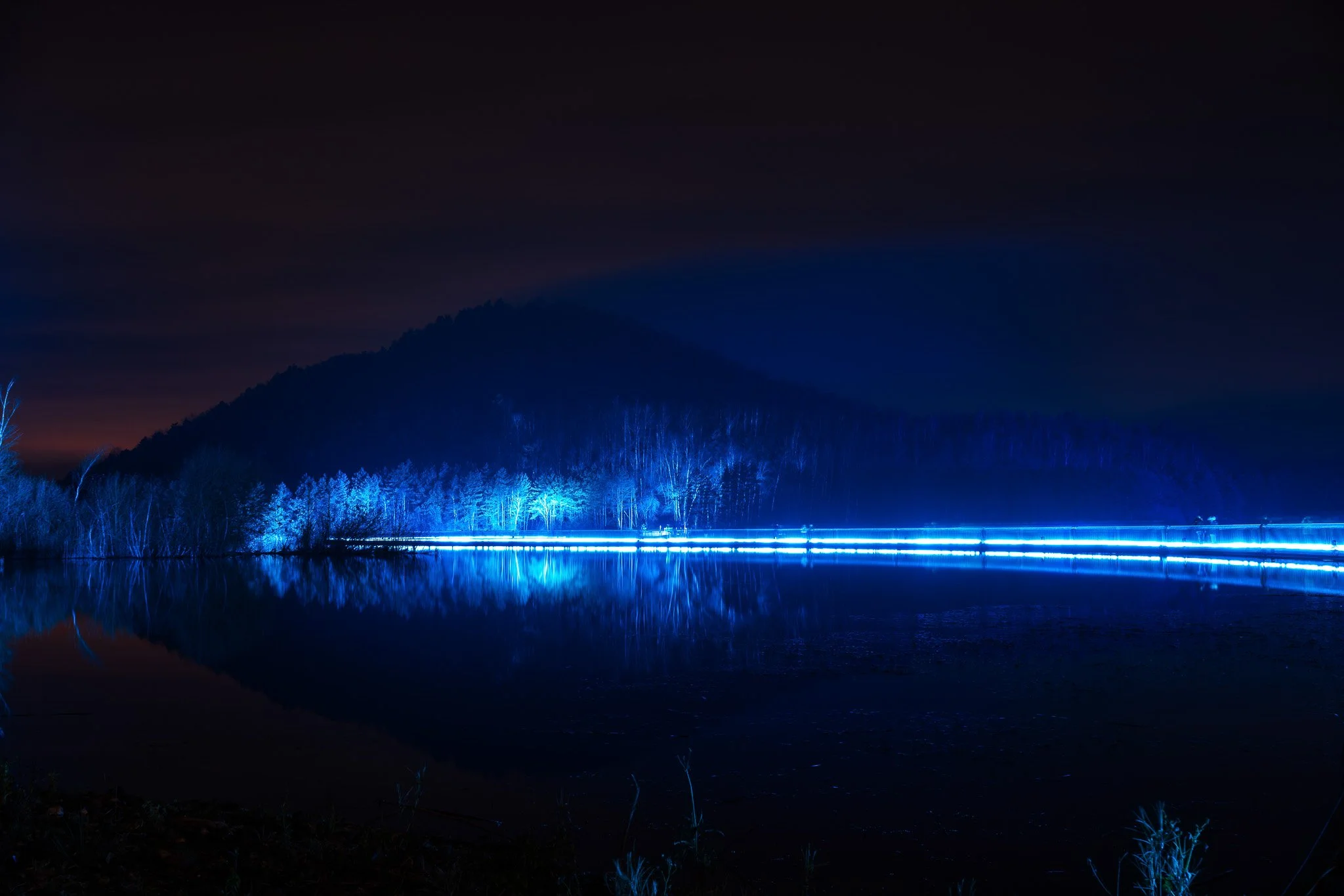 Landschap met water, bomen en bergen onder een donkere hemel, verlicht door blauwe verlichting op de bomen en de waterkant.