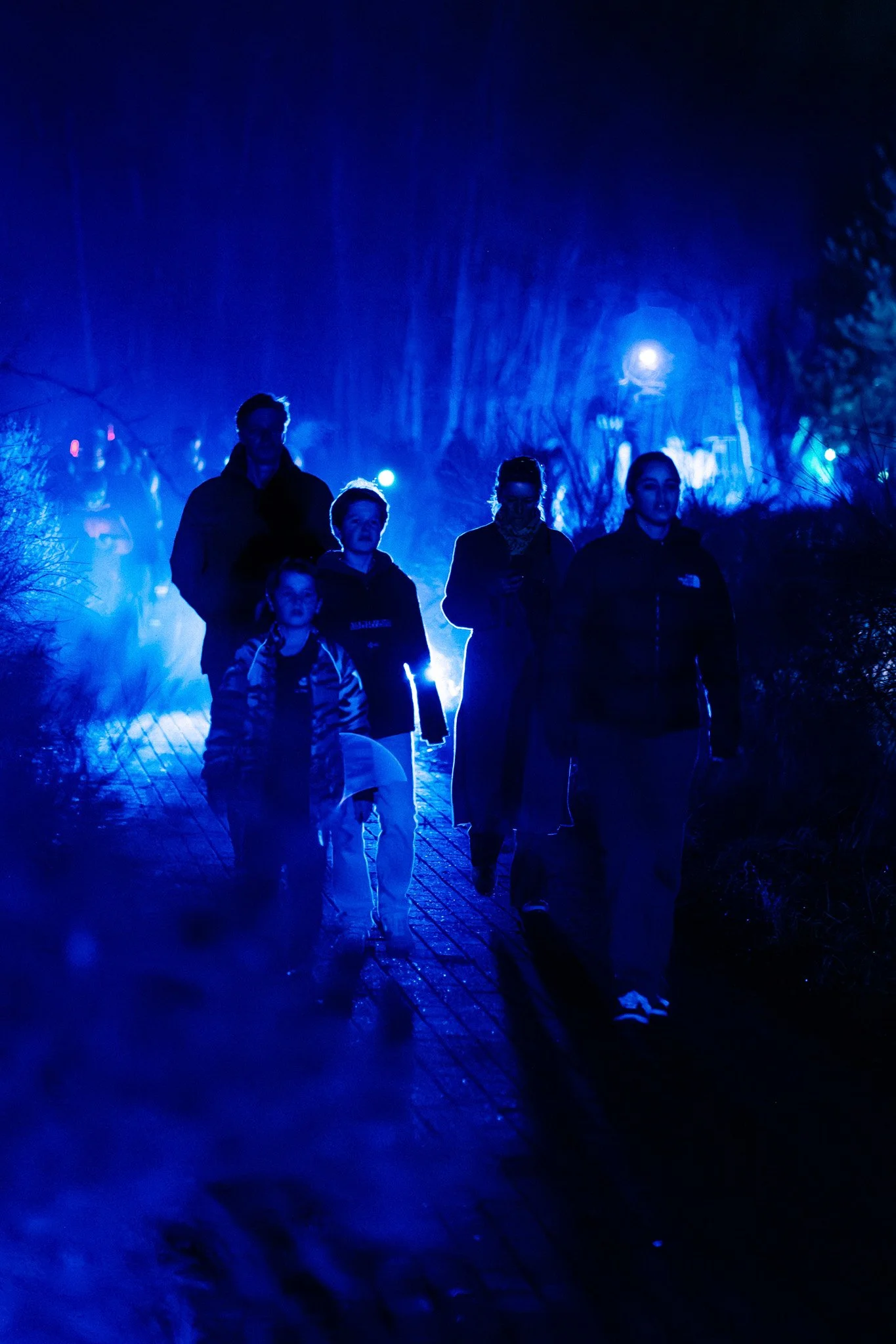 Vijf mensen wandelen 's nachts onder een blauwe verlichting, met een volle maan en donkere bomen op de achtergrond.