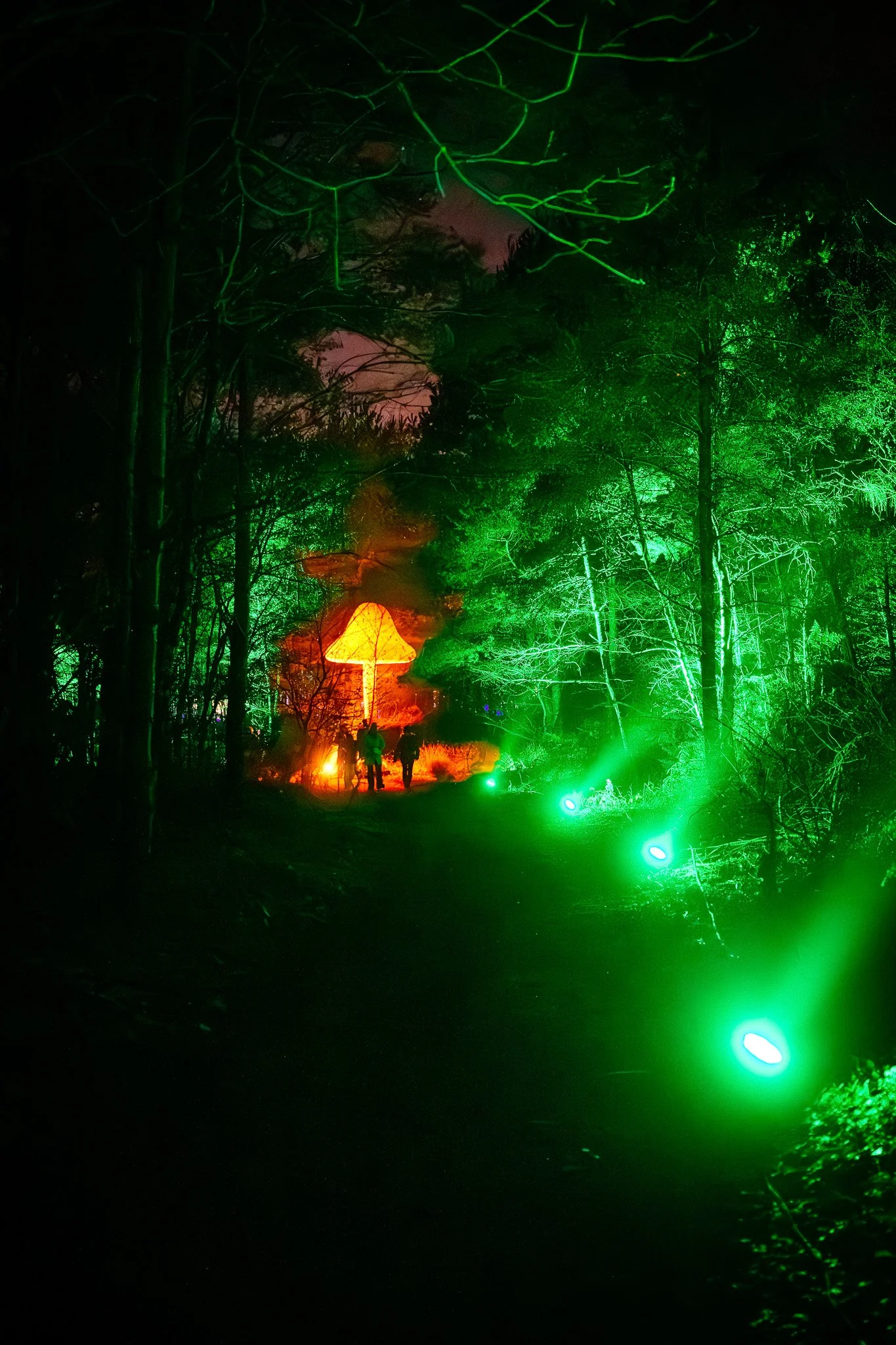 Nachtfoto van een bos met groene en oranje lichten, mensen lopen op een pad, en een lampenkap hangt onder een boom. De lucht is donker met een roze tint.
