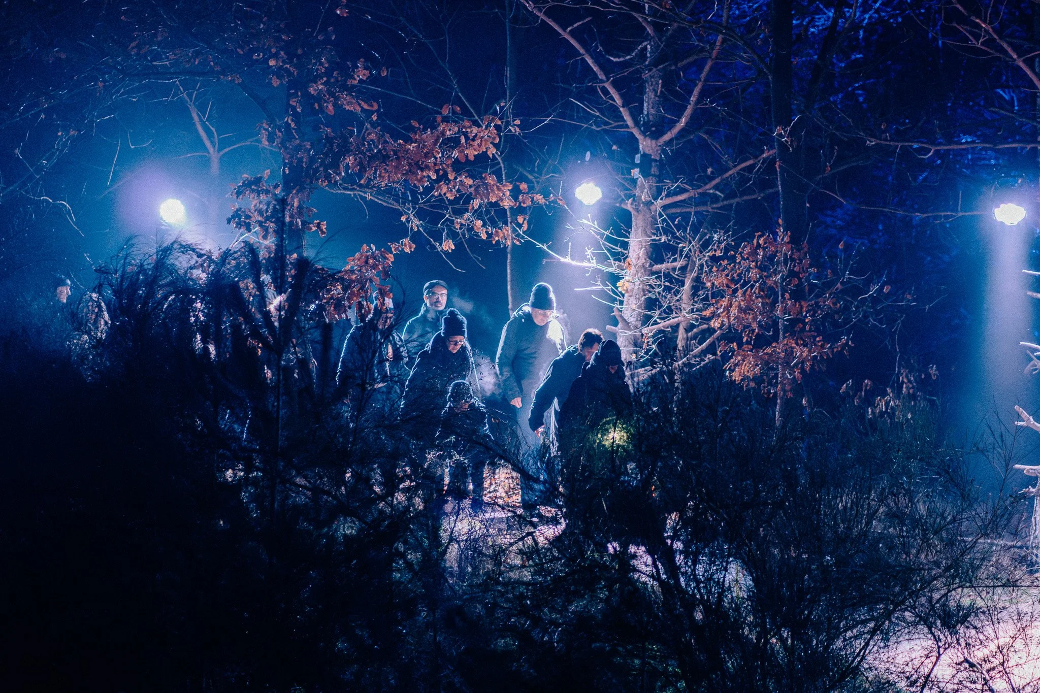 Groep mensen wandelend door een bos in de avond, verlicht door straatverlichting en maanlicht, met bladeren en takken in de voorgrond.