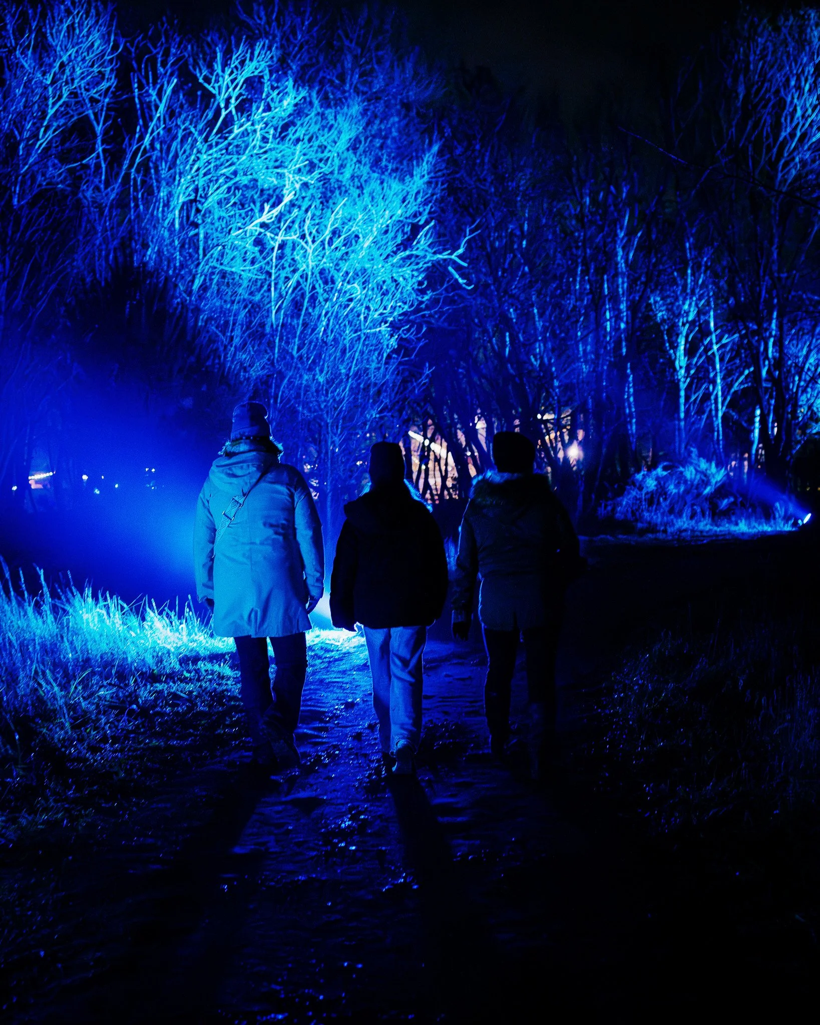 Mensen wandelen door een donker bos dat verlicht is met blauwe lichten.