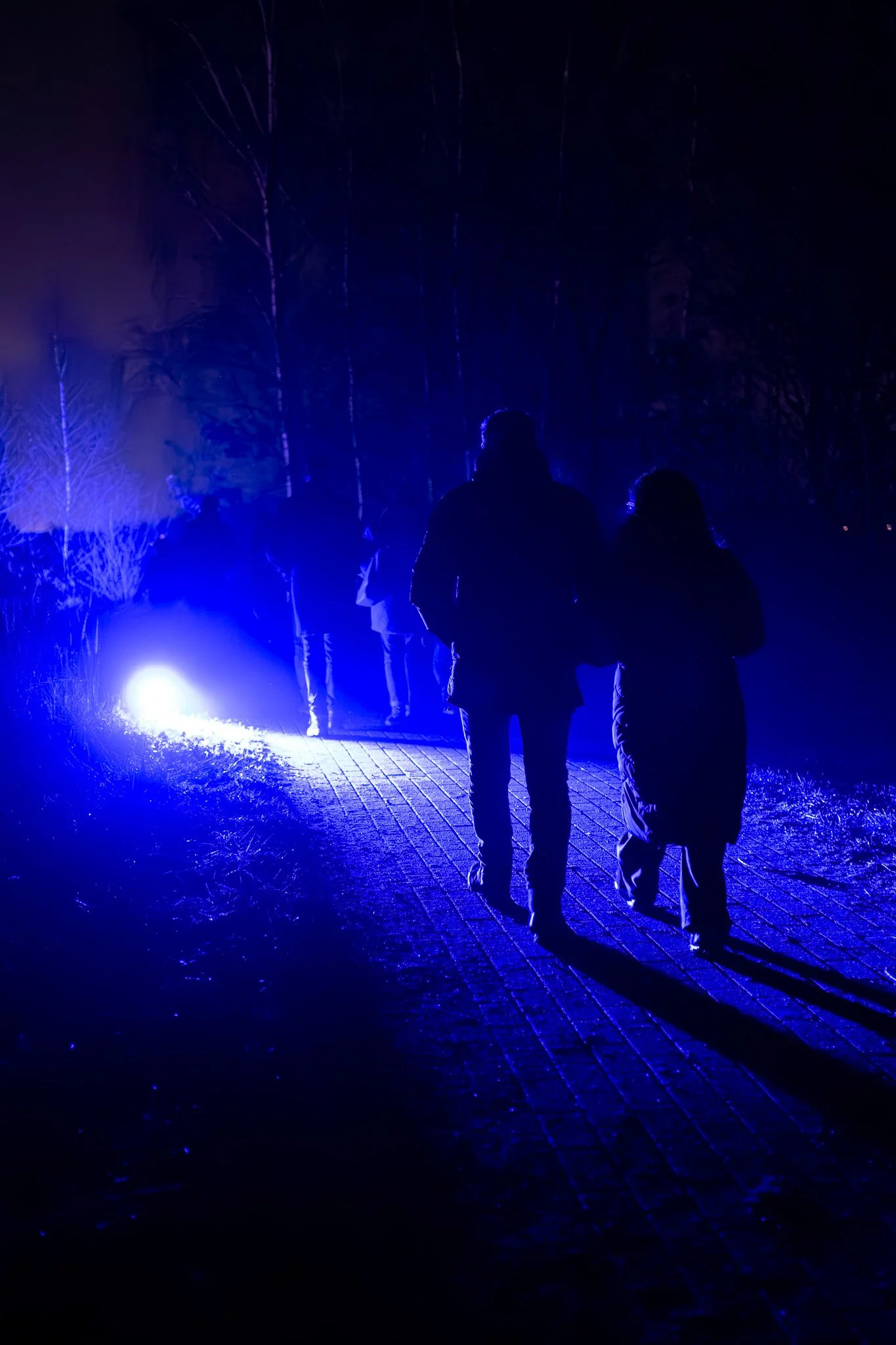 Twee mensen lopen in een donkere omgeving met blauwe lichtstralen, waarschijnlijk in een bos of park 's nachts.