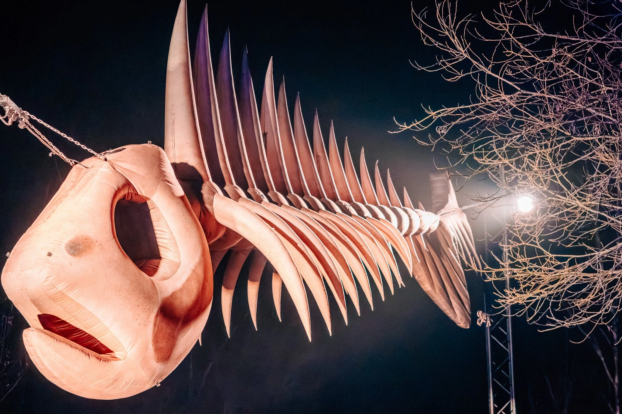 Skeletale structuur van een dinosaurusmodel onder een donkere hemel met een boom en een lichtbron op de achtergrond.