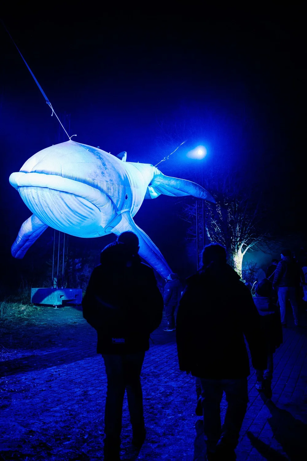 Foto 50: Watergedeelte van Luminoctis met blauwe lichtlijnen, reflecties, brugbeelden en installaties.