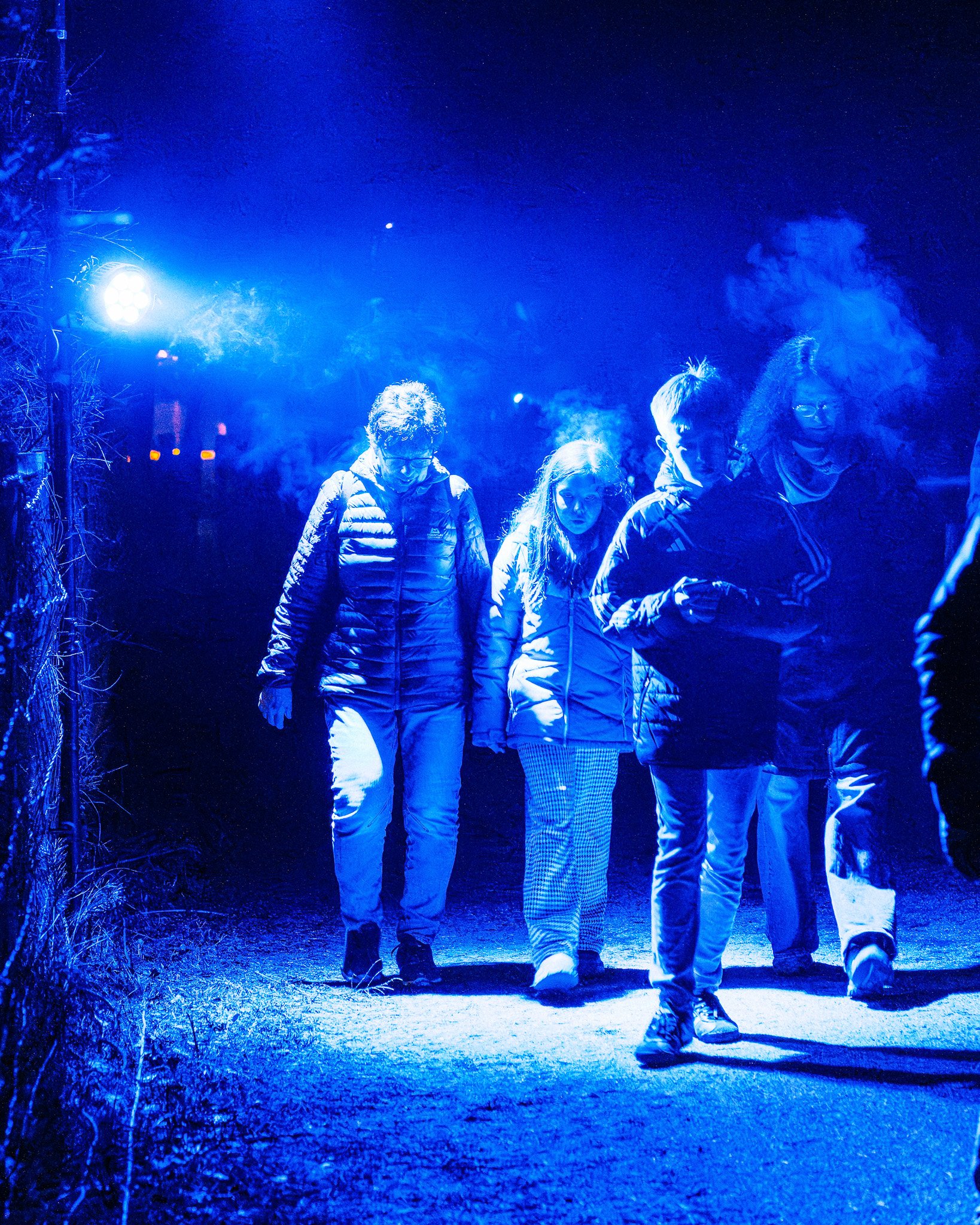 Vier mensen lopen samen over een pad in de nacht, onder blauwe verlichting, met bomen en struiken langs de zijkant.